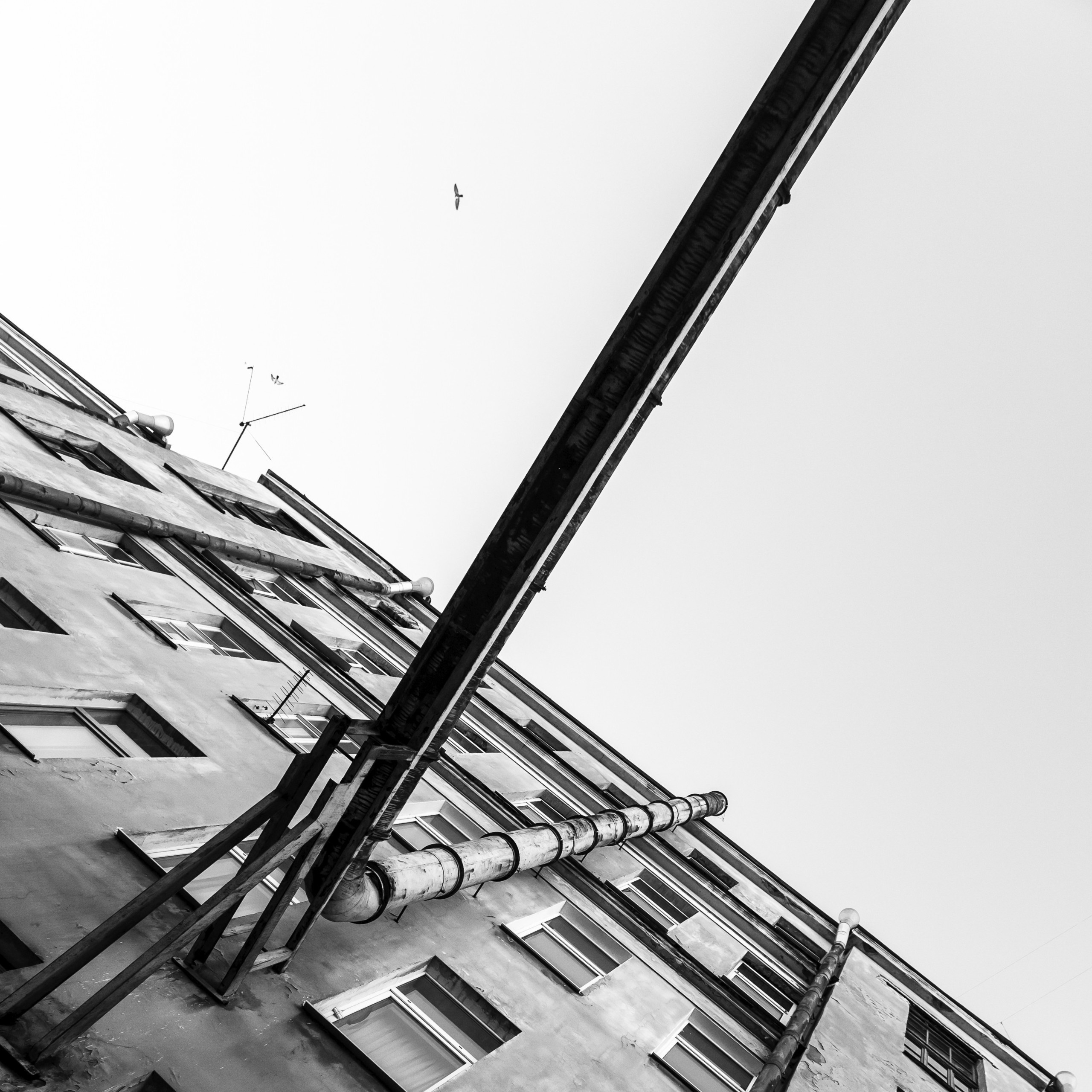 Saint-Petersburg. Künstler Verstecktoff