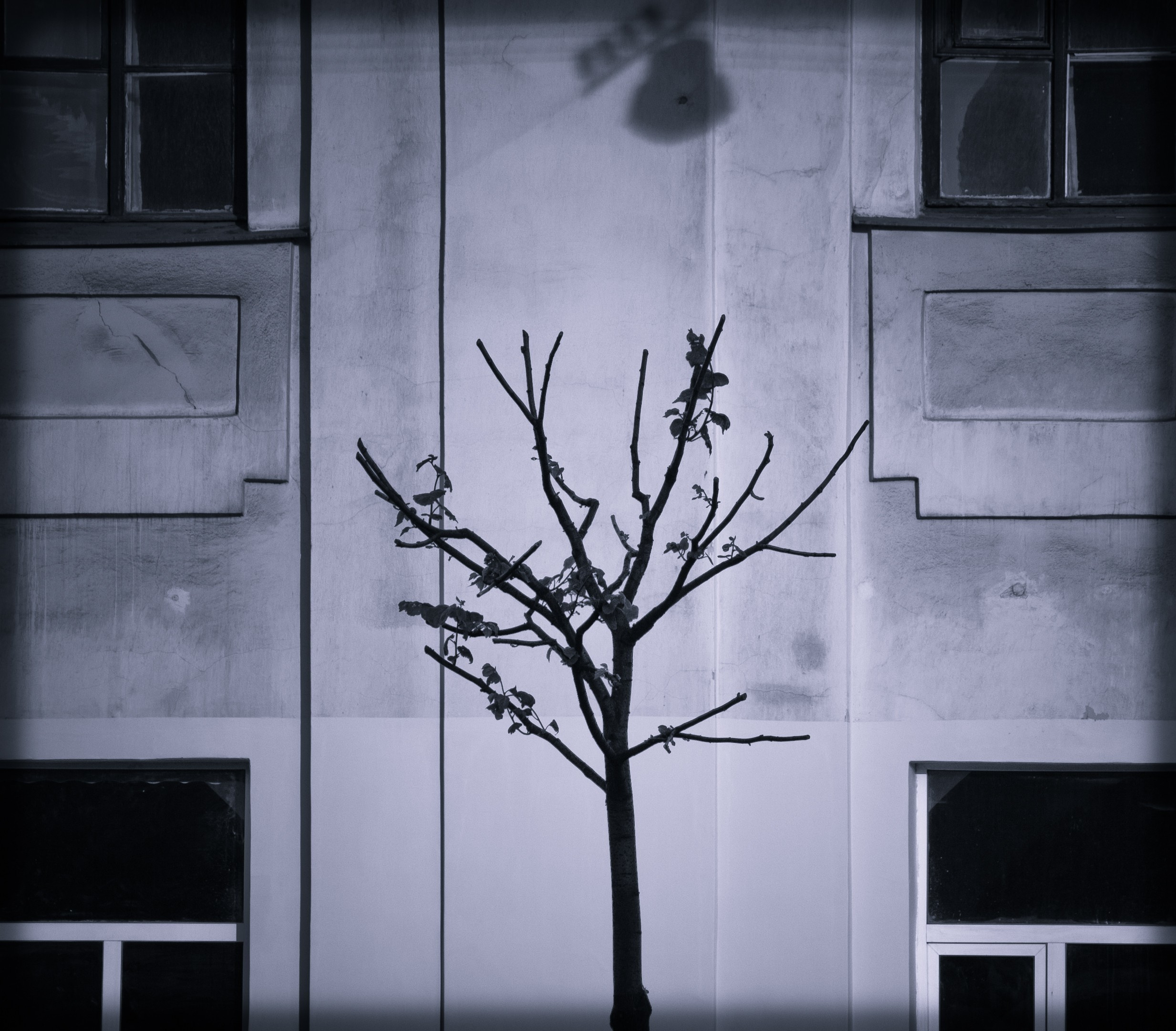 Saint-Petersburg. Künstler Verstecktoff