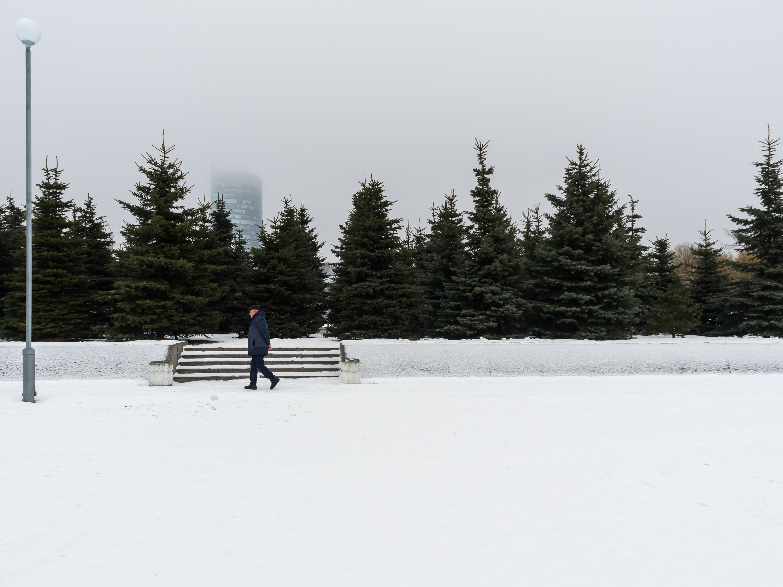 The park (2017). Künstler Verstecktoff
