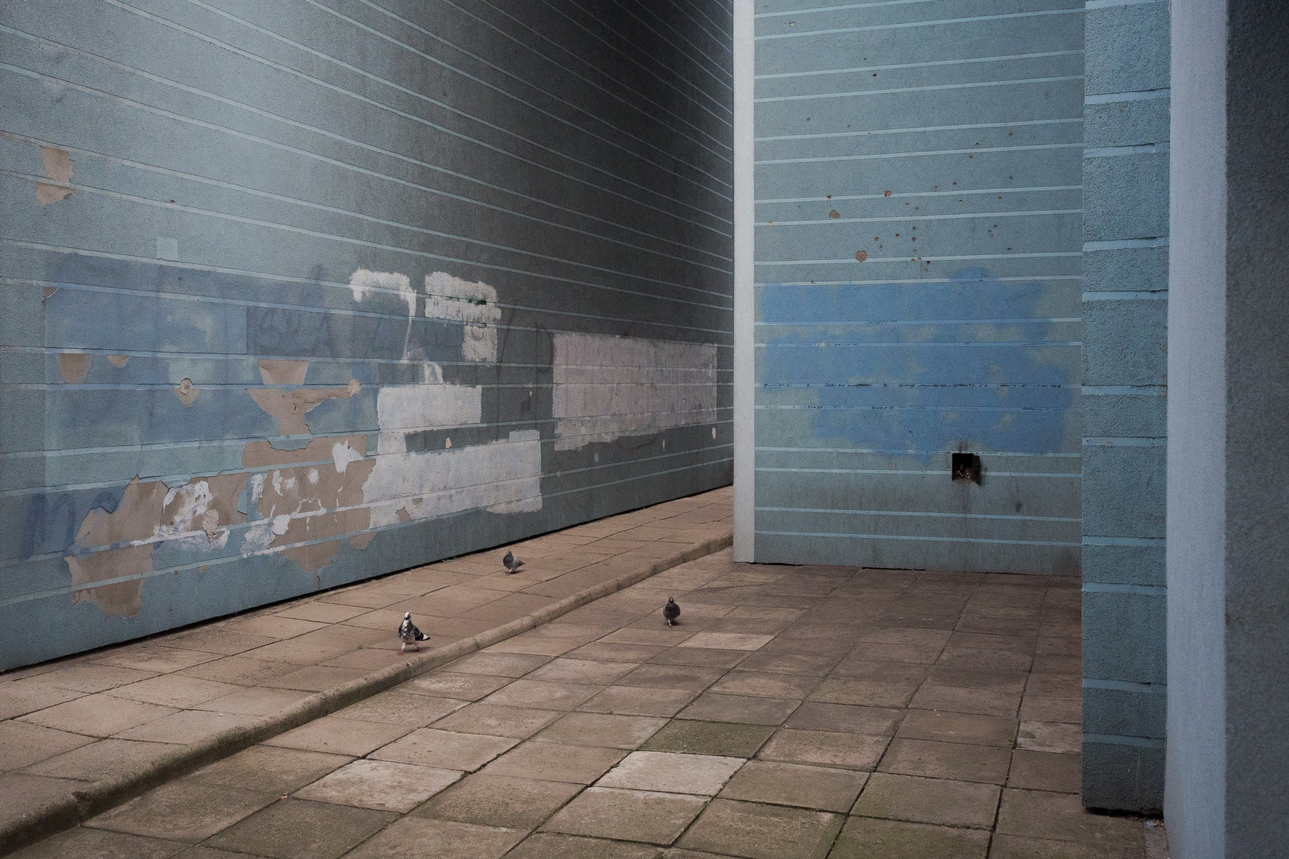 Poland. Künstler Verstecktoff