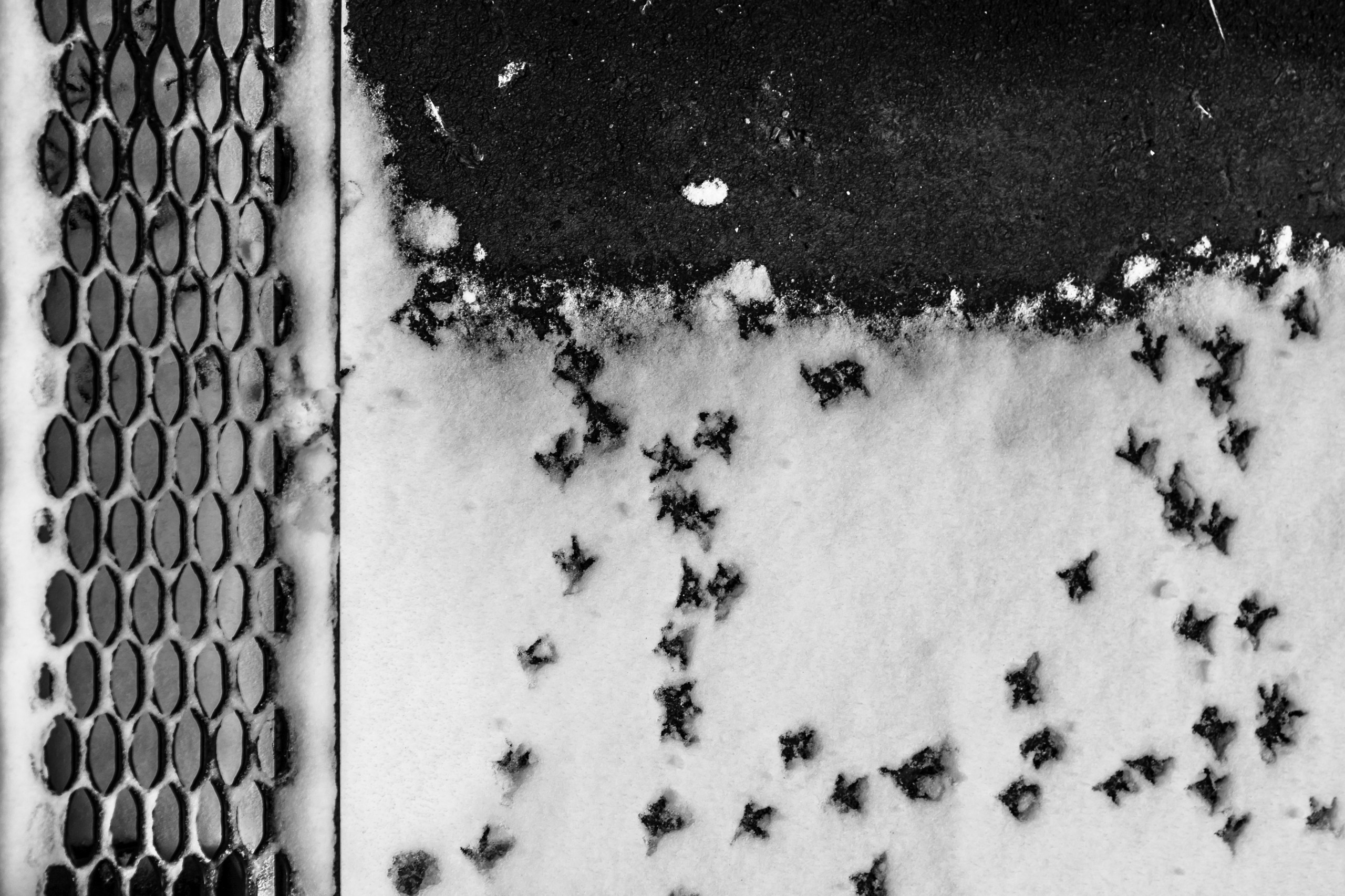 Saint-Petersburg. Künstler Verstecktoff