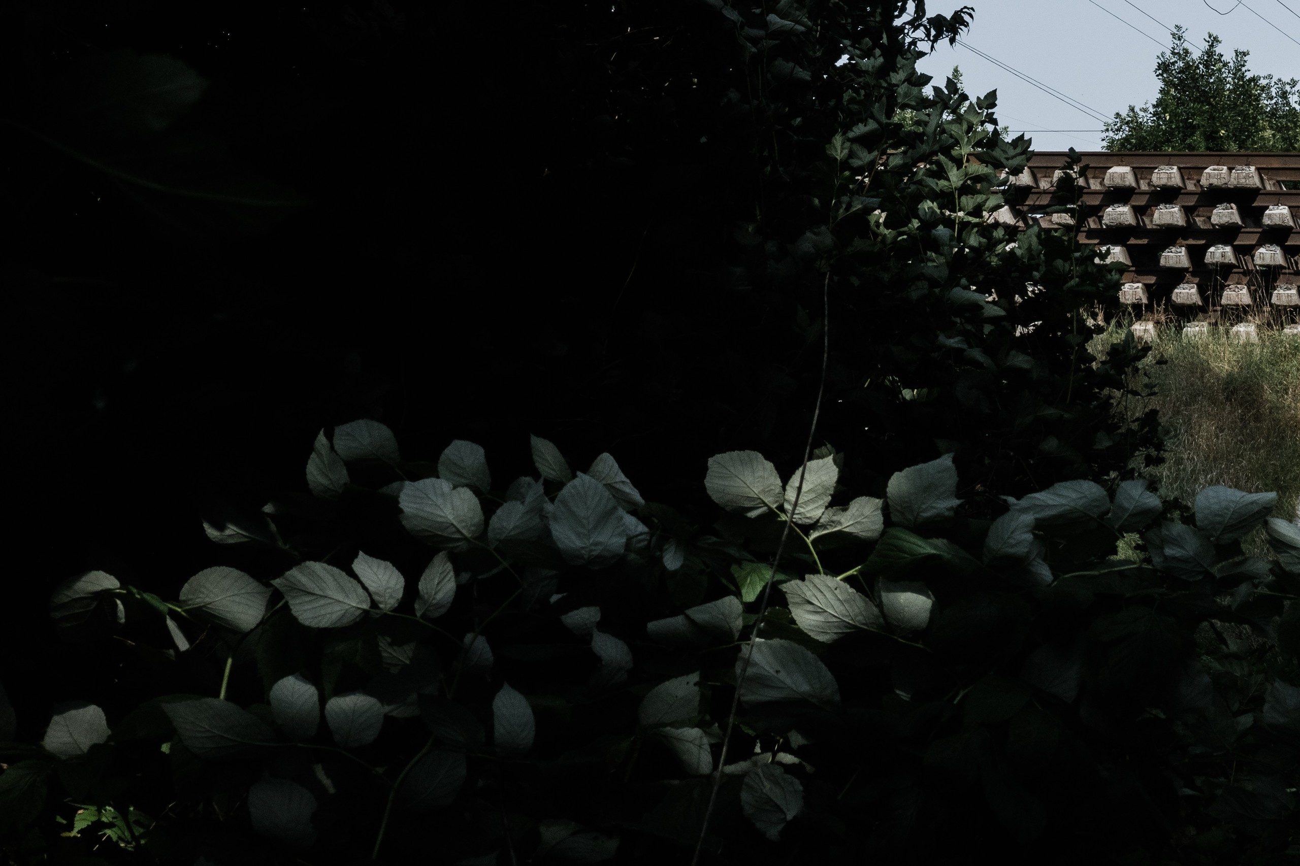 Belarus. Künstler Verstecktoff