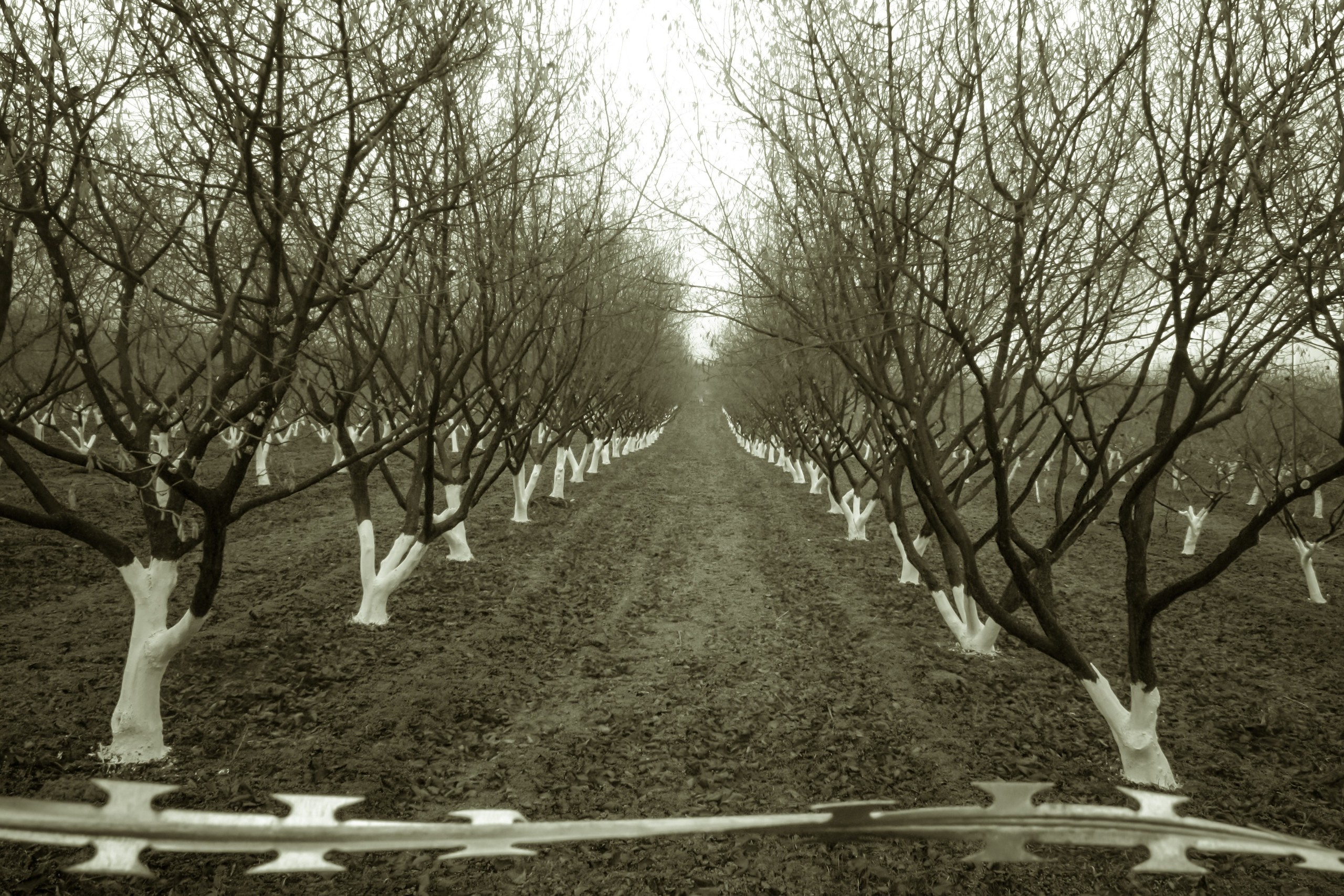 Poland. Künstler Verstecktoff