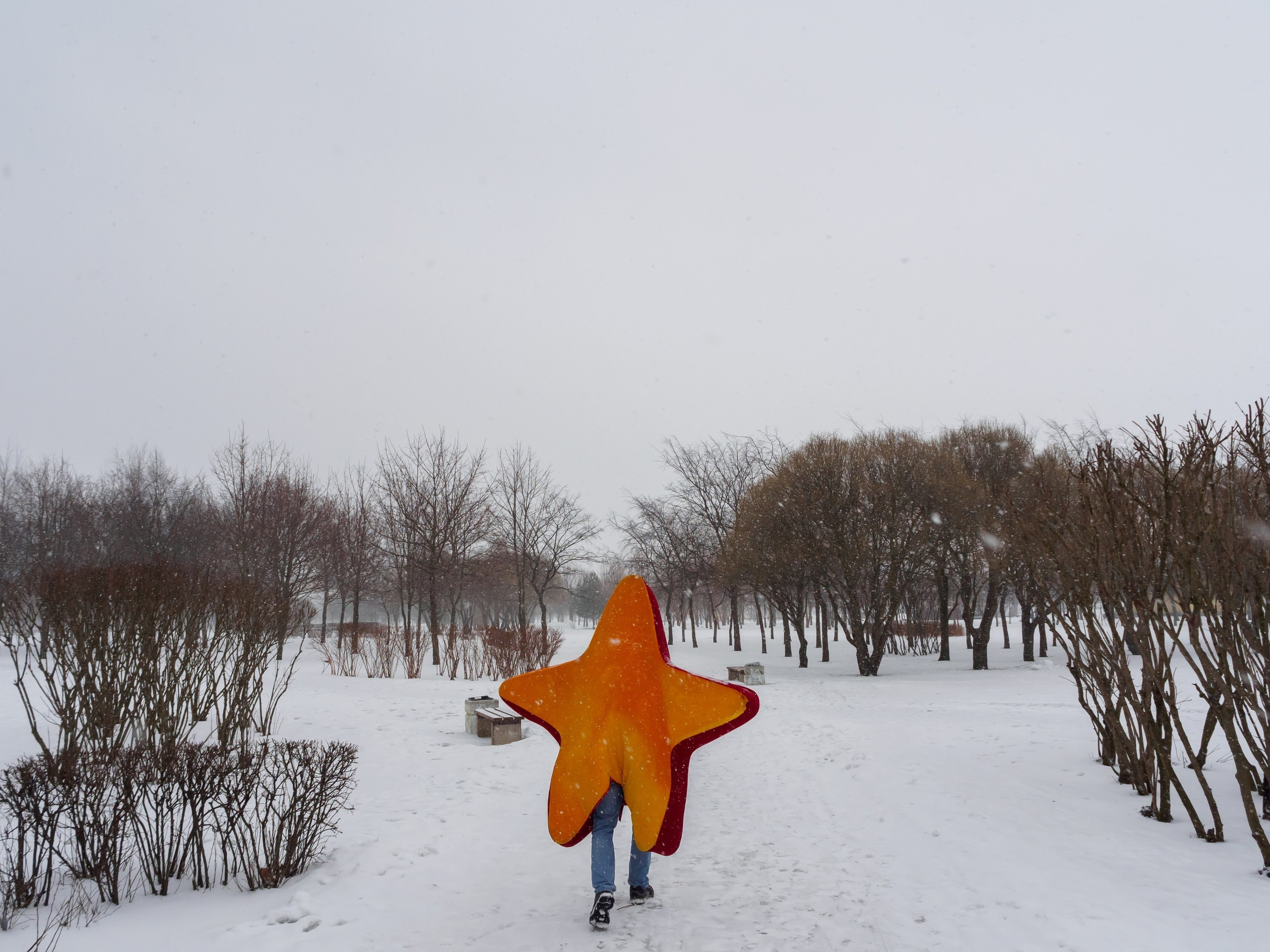 The park (2017). Künstler Verstecktoff