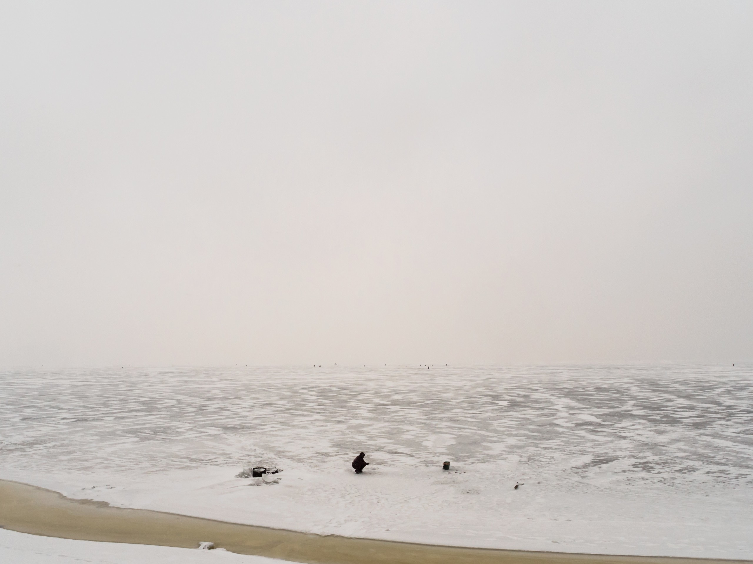 The park (2017). Künstler Verstecktoff