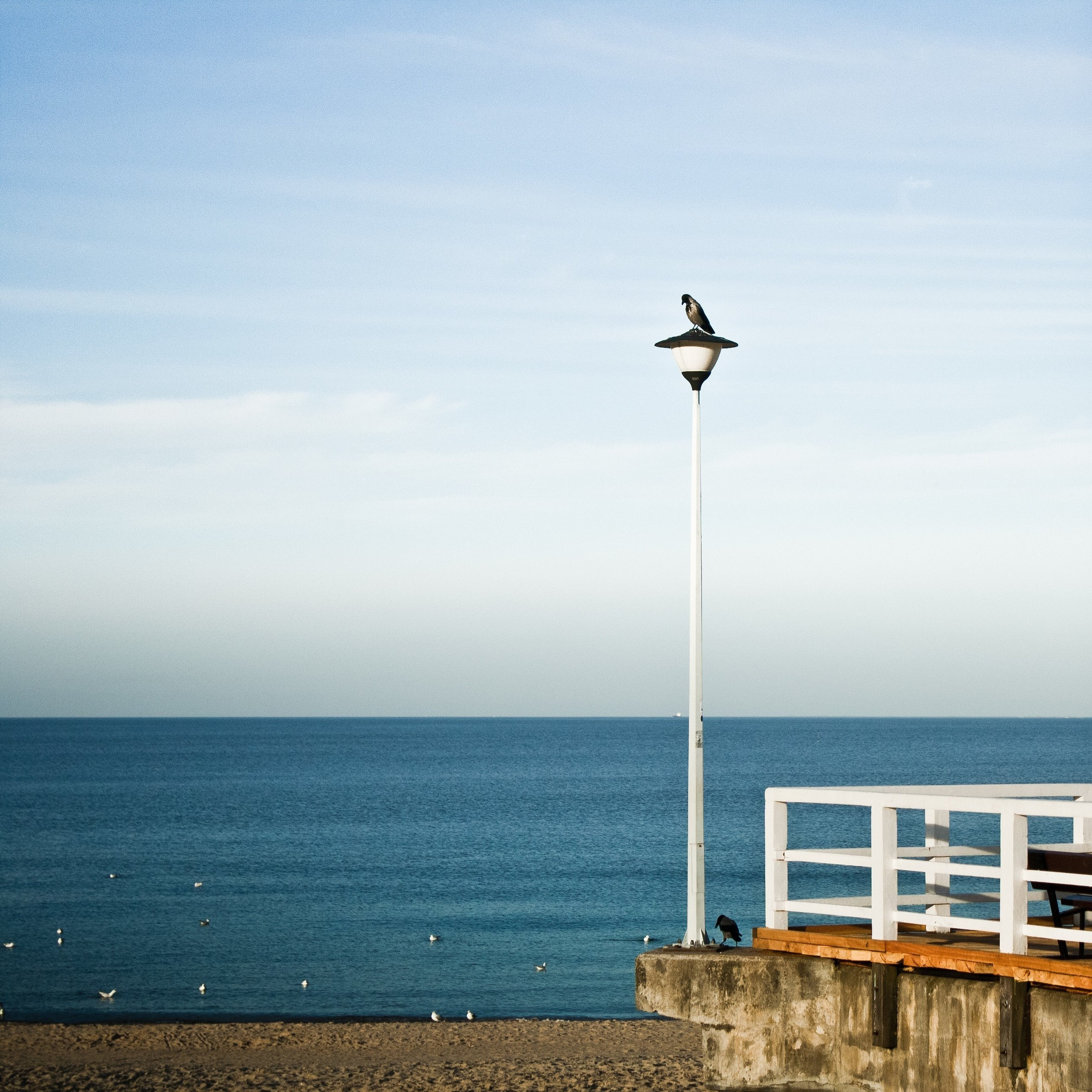 Poland. Künstler Verstecktoff