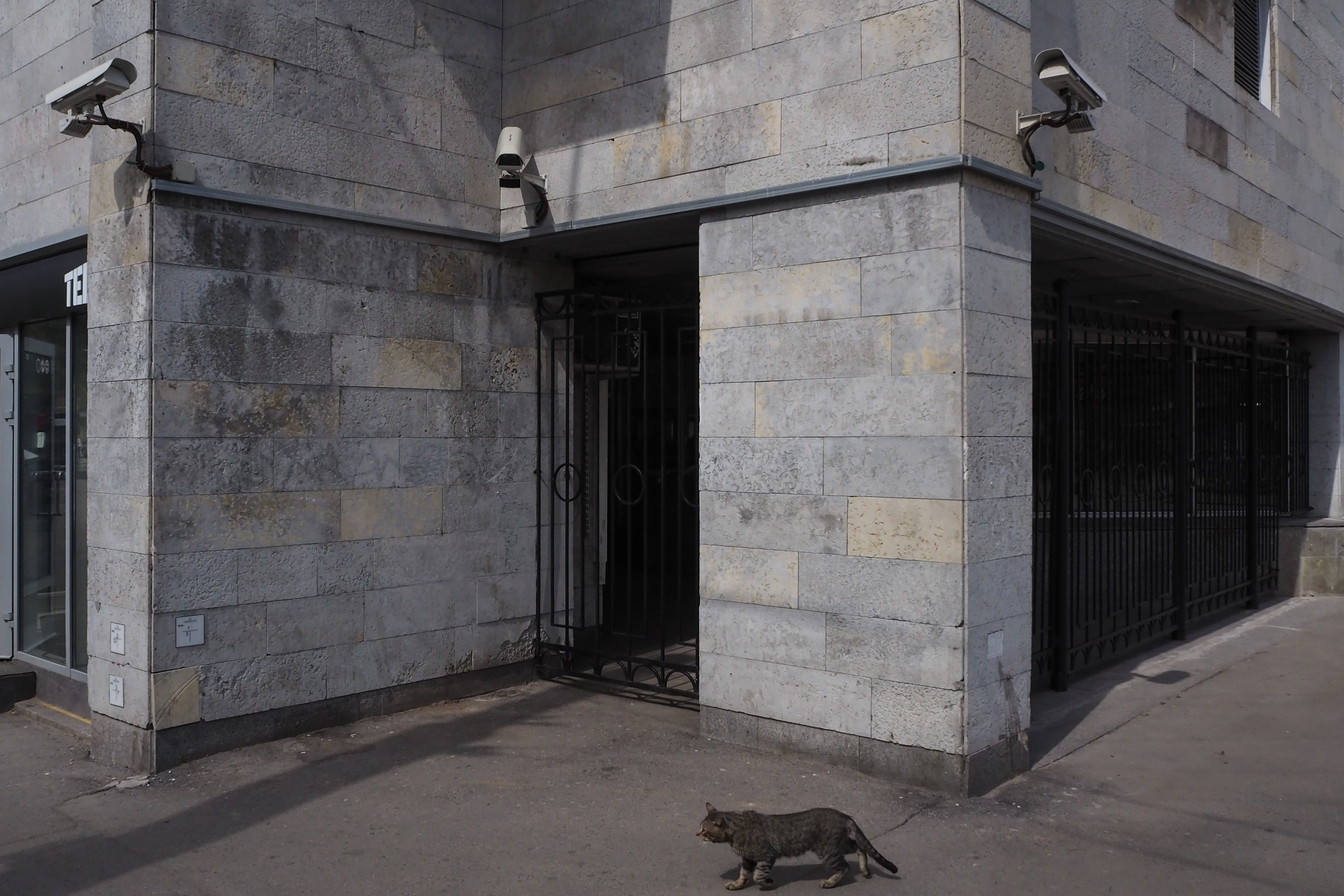 Saint-Petersburg. Künstler Verstecktoff