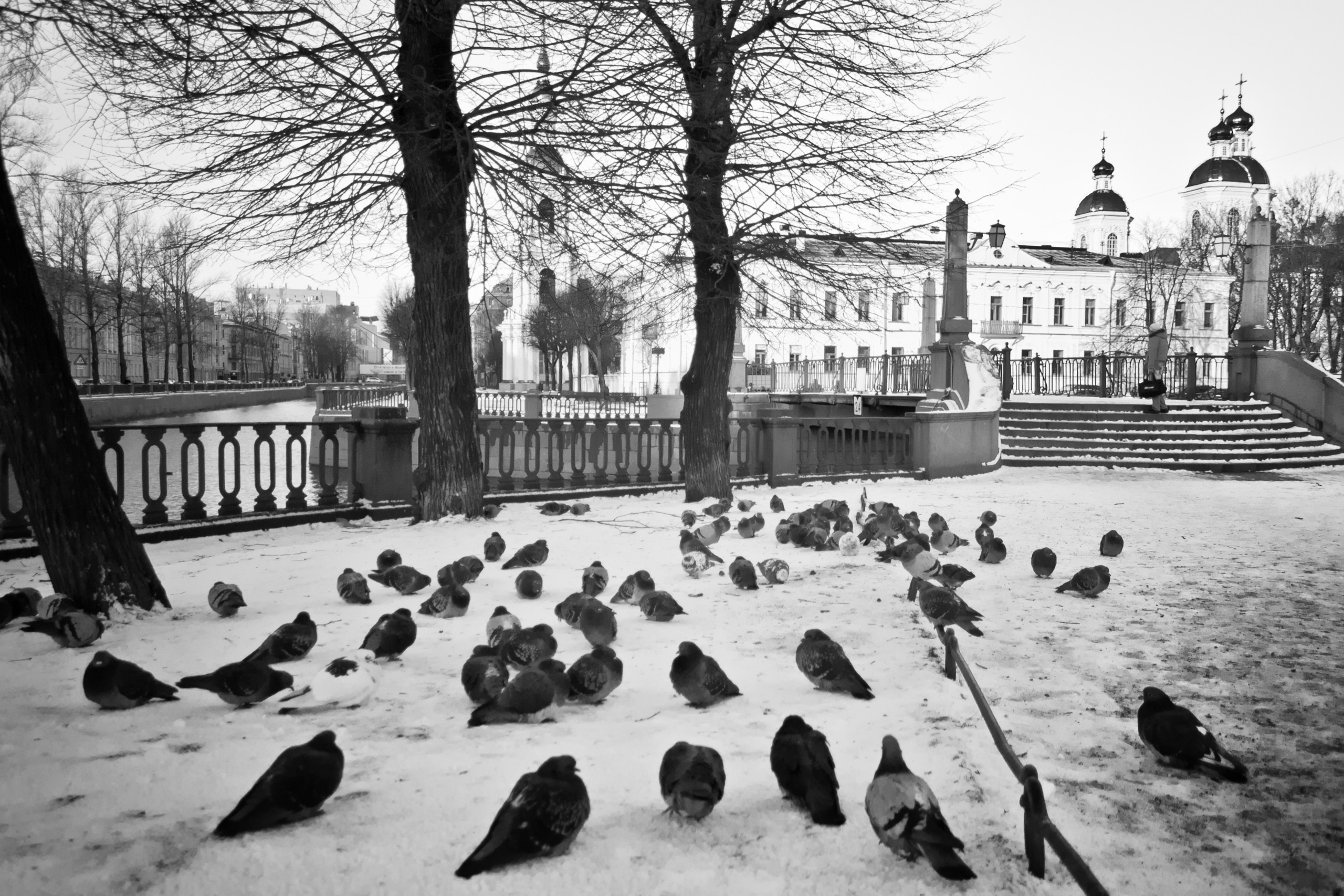 Saint-Petersburg. Künstler Verstecktoff