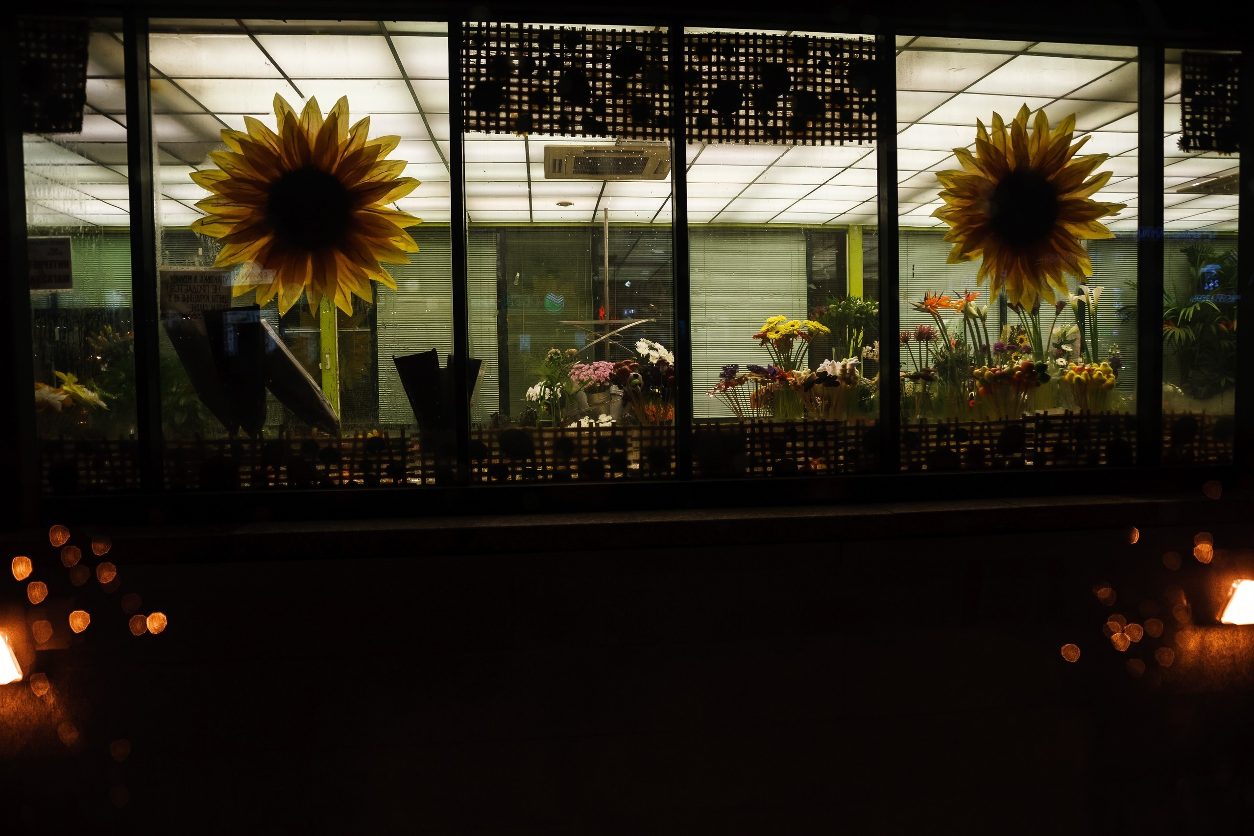 Saint-Petersburg. Künstler Verstecktoff