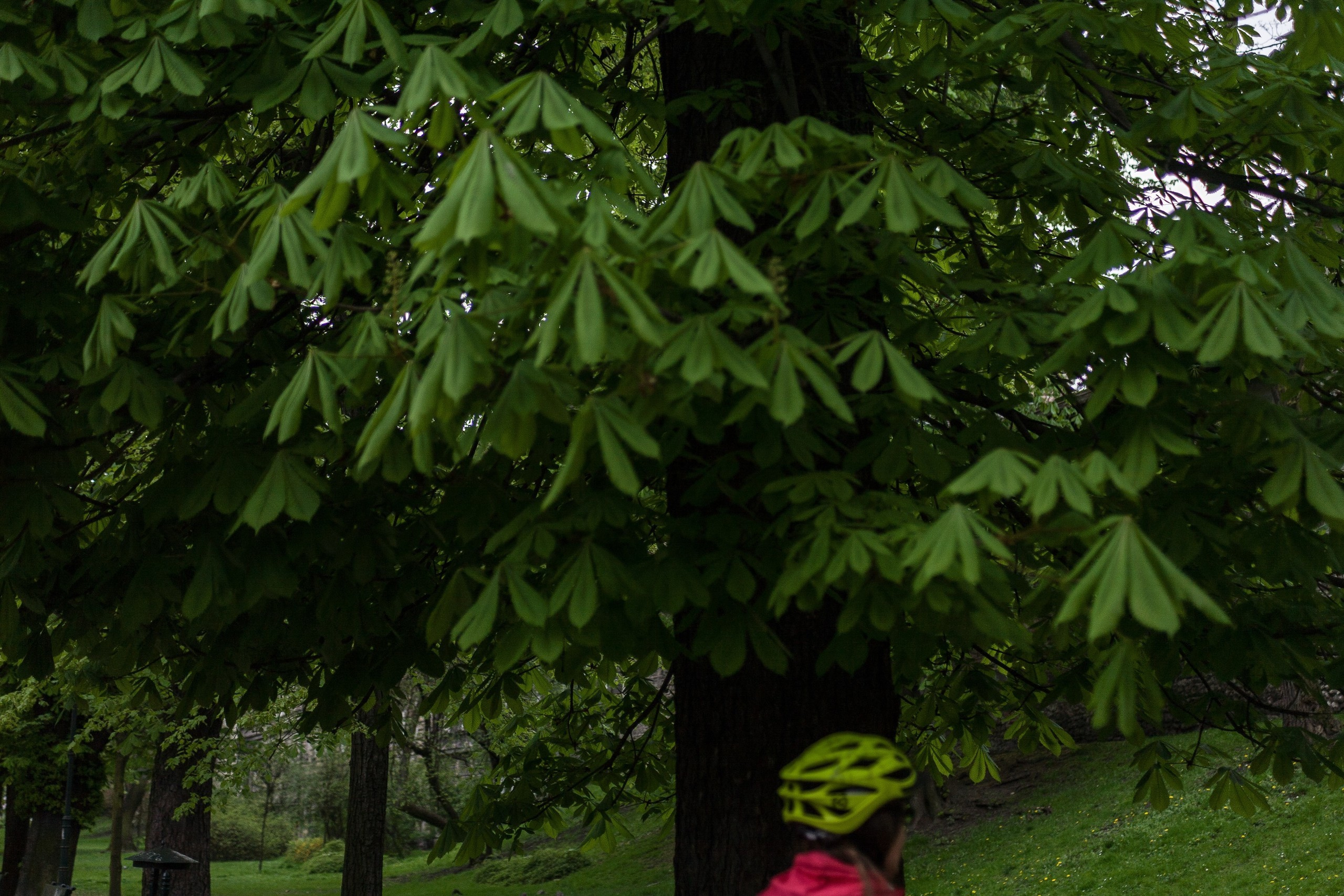 Poland. Künstler Verstecktoff