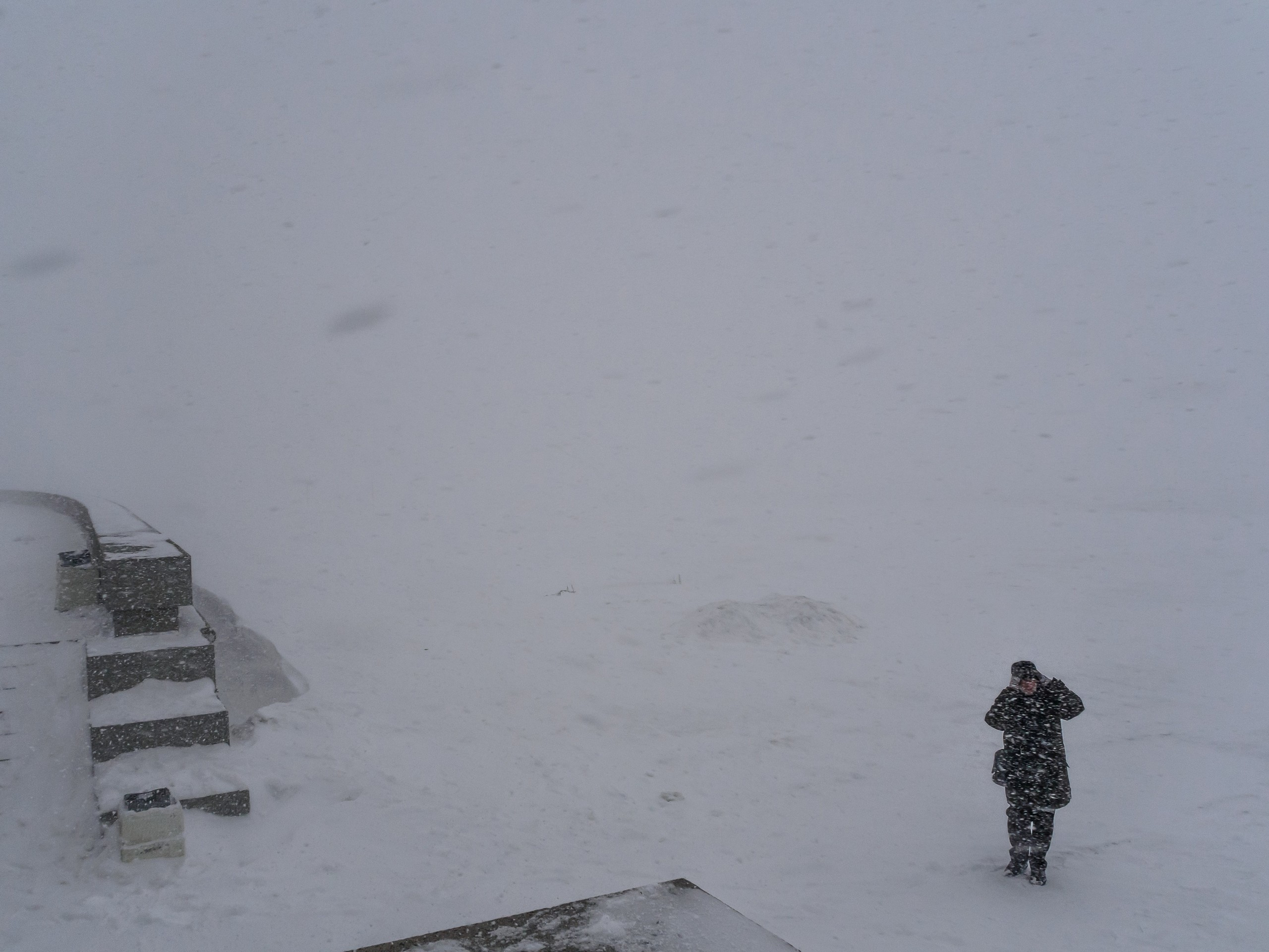 The park (2017). Künstler Verstecktoff