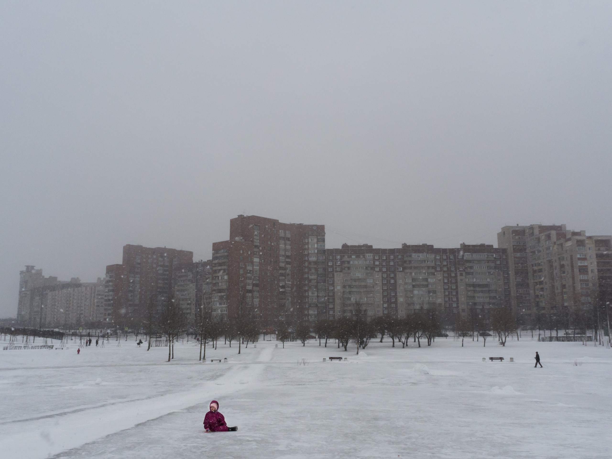 The park (2017). Künstler Verstecktoff