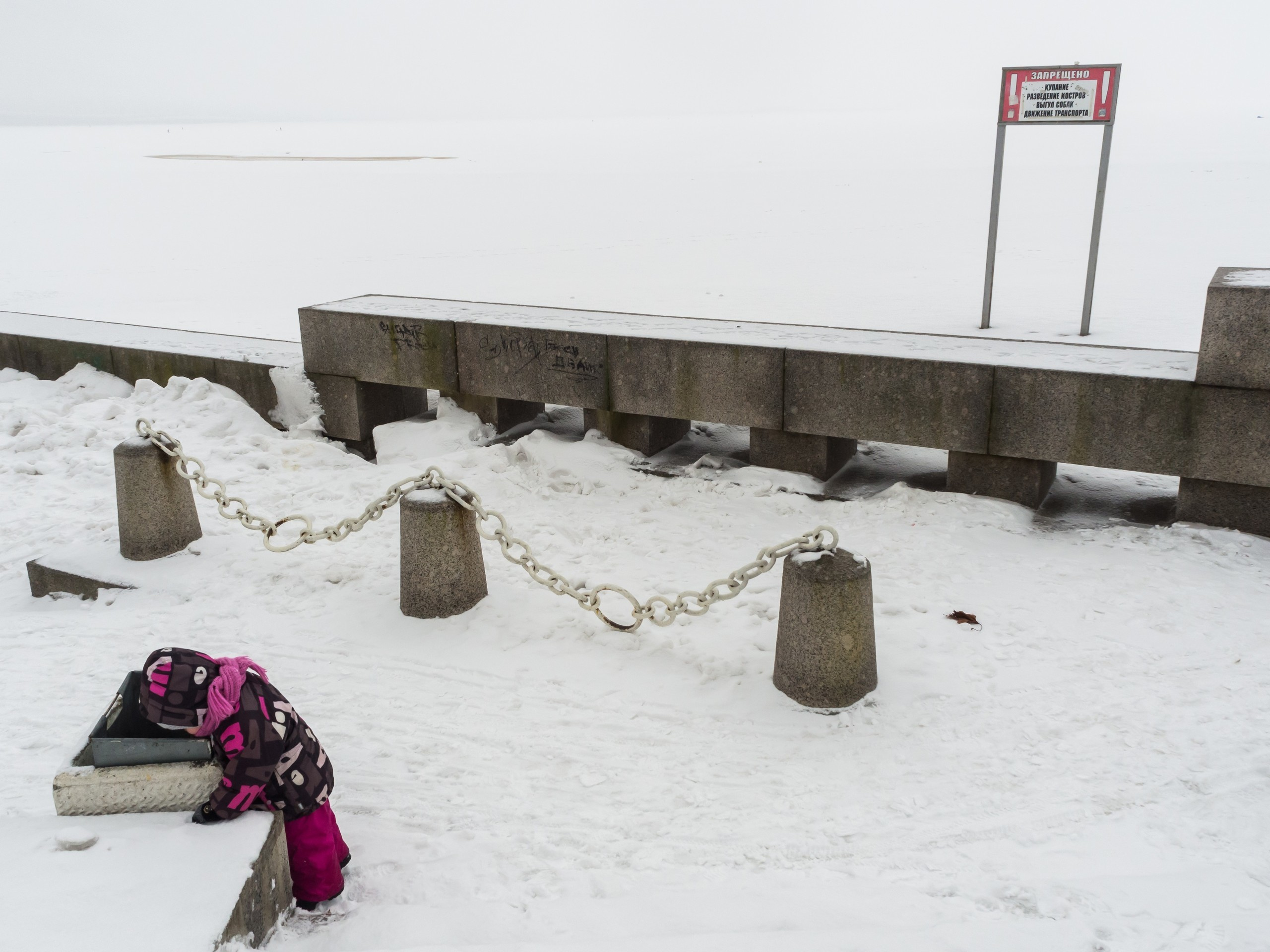 The park (2017). Künstler Verstecktoff
