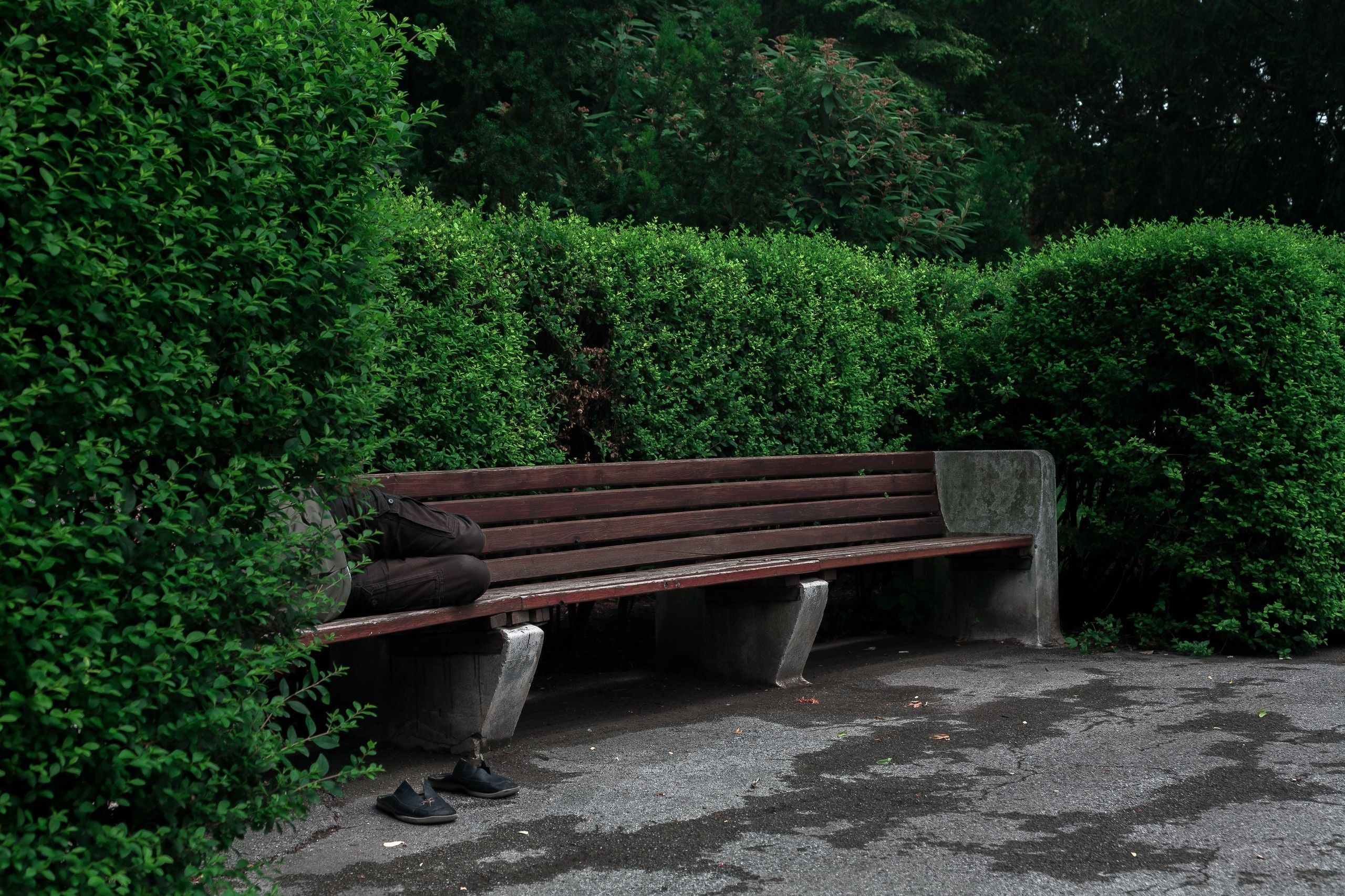 Capitals on the Danube. Künstler Verstecktoff