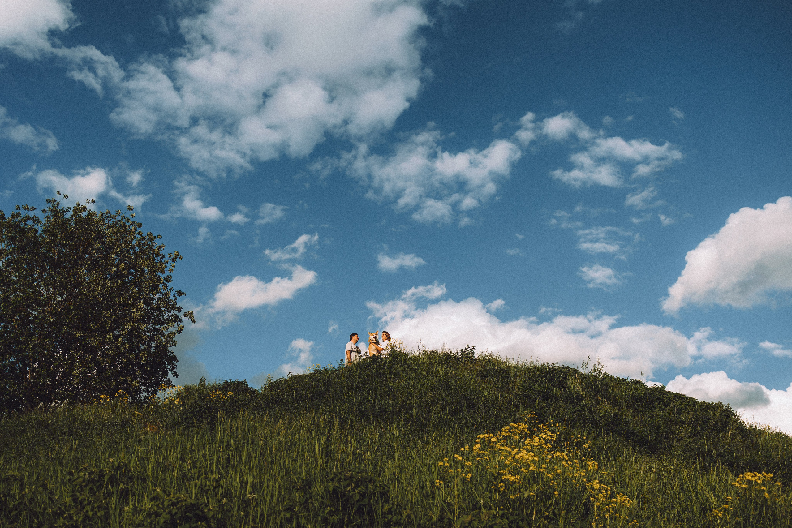 Вирджик и его семья