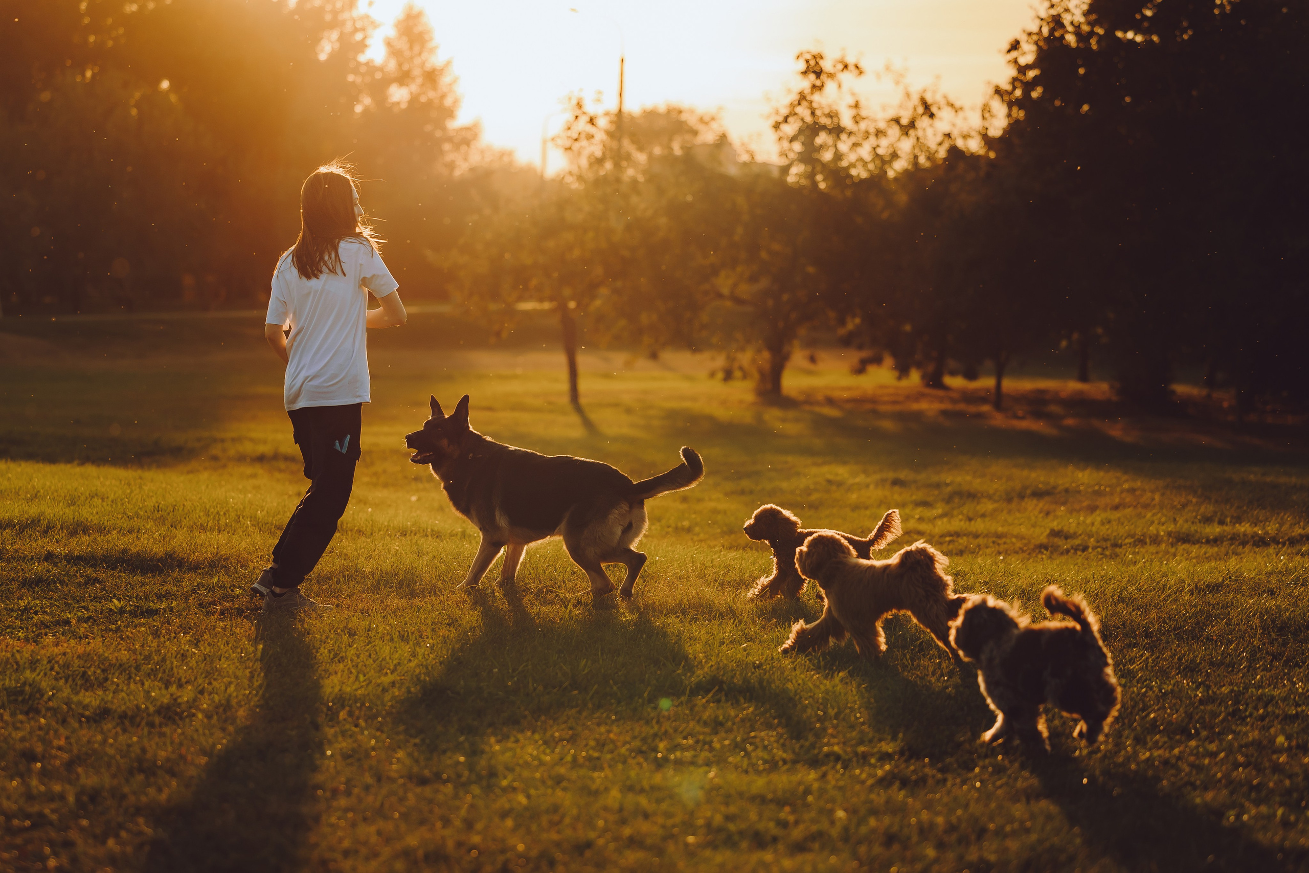 Кристина и все-все