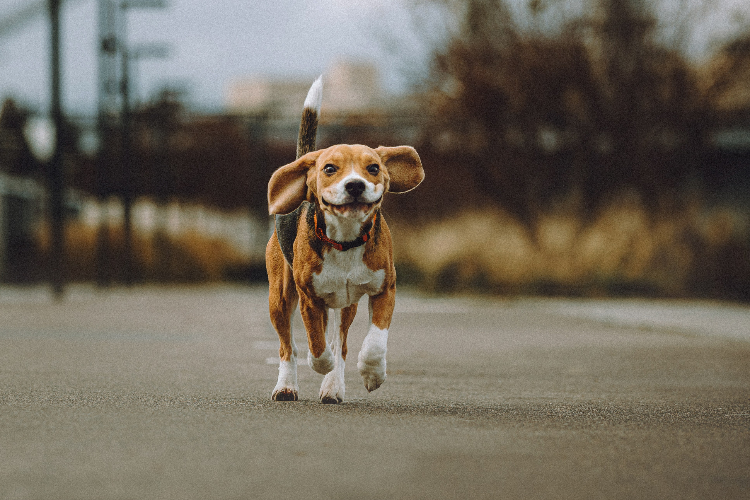 Ксюша и Мэгги