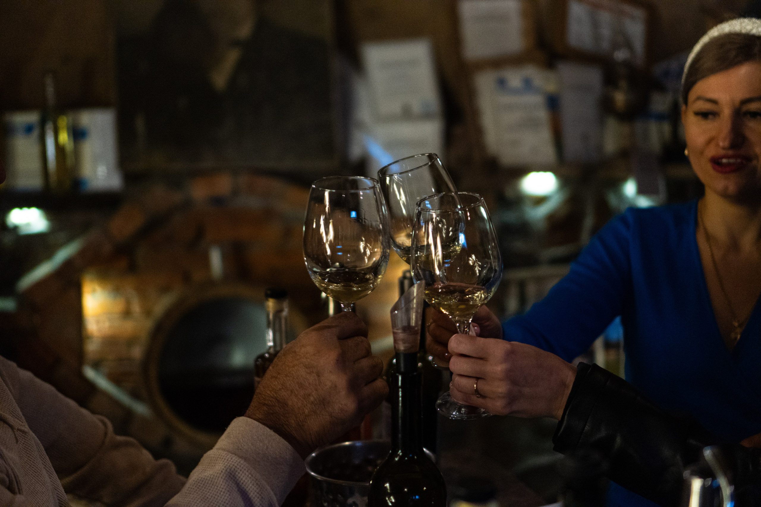 Фотосессия на экскурсии по виноградникам. Фото-ВидеоПродакшен для экспертов и брендов