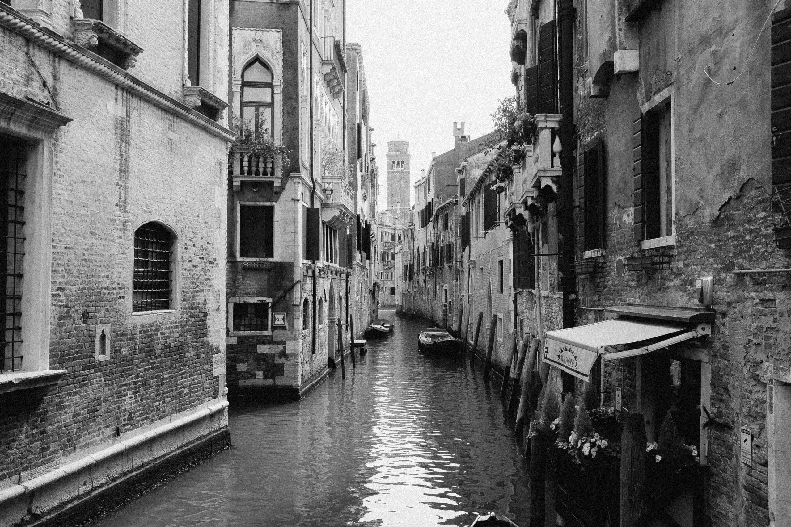 Anna Fridenberg | wedding photographer