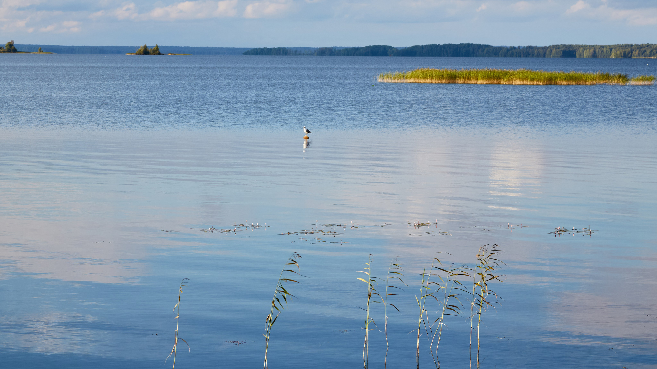 Кижи. Пейзажи Крайнего Севера. Баренцево море, Рыбачий, Средний, Немецкий
