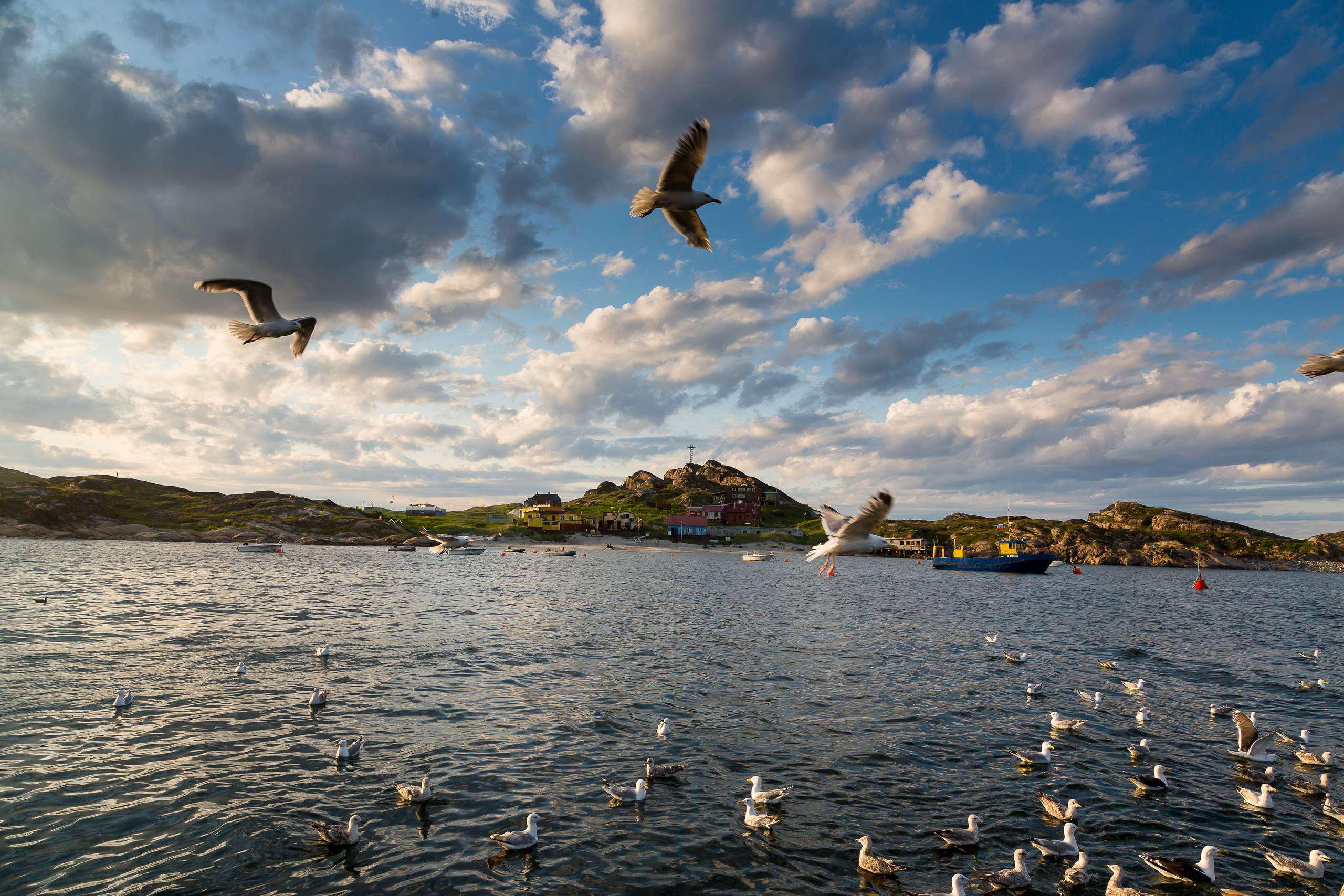 Полуостров Немецкий. Пейзажи Крайнего Севера. Баренцево море, Рыбачий, Средний, Немецкий