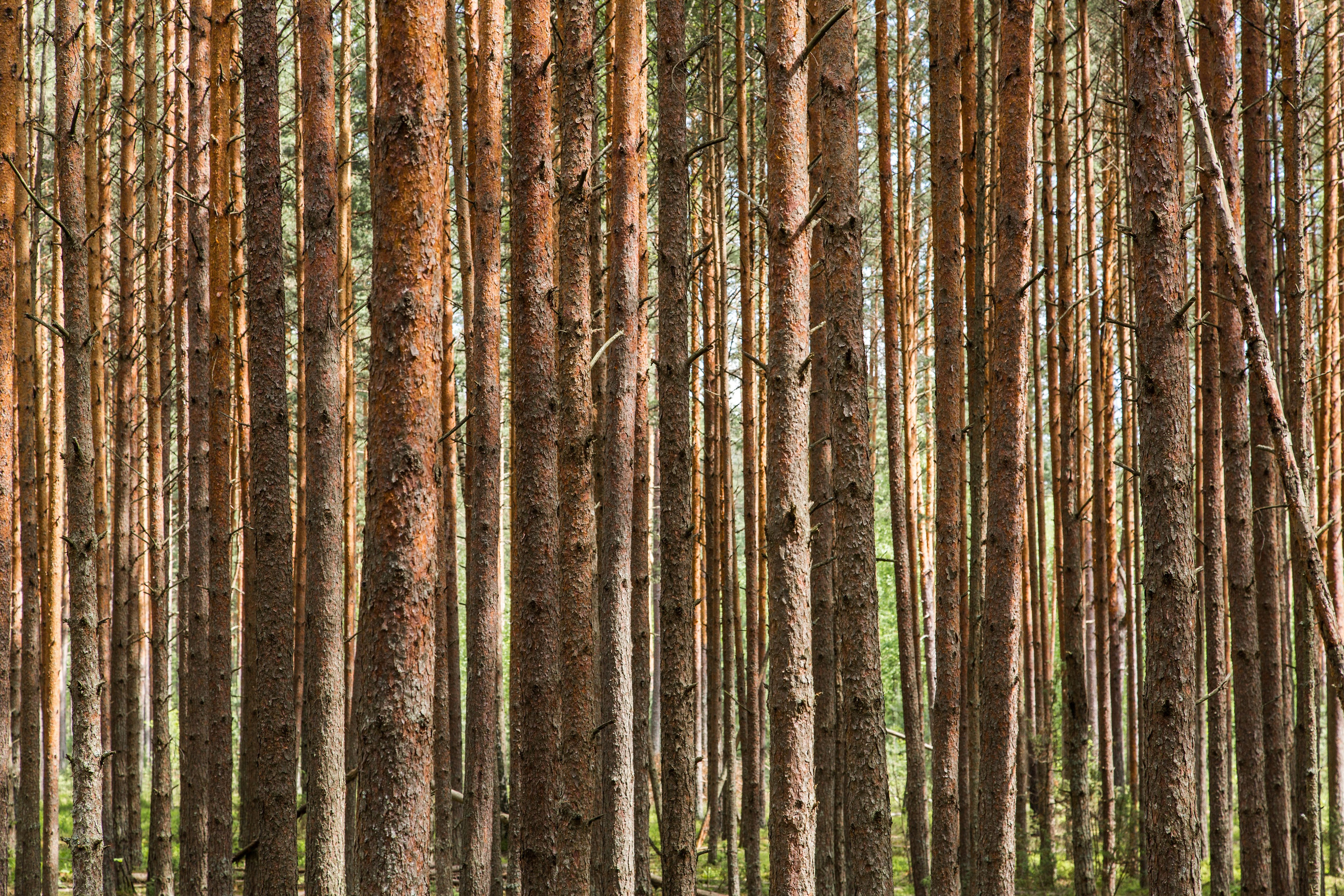 Псковщина. Пейзажи Крайнего Севера. Баренцево море, Рыбачий, Средний, Немецкий