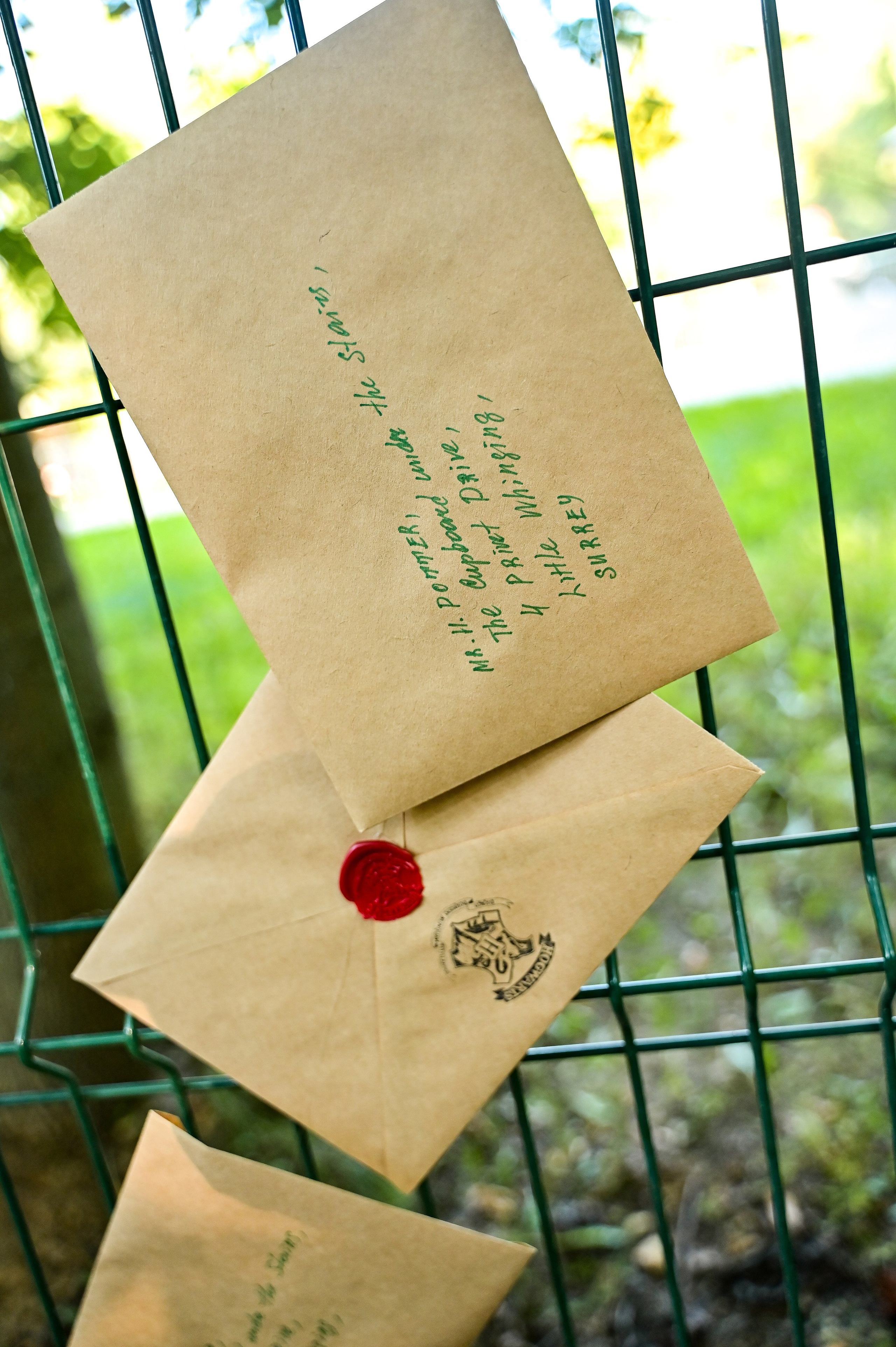 S95 Harry Potter Кузьминки (31.08.24). Фотограф | Ирина Гамзинова | Москва