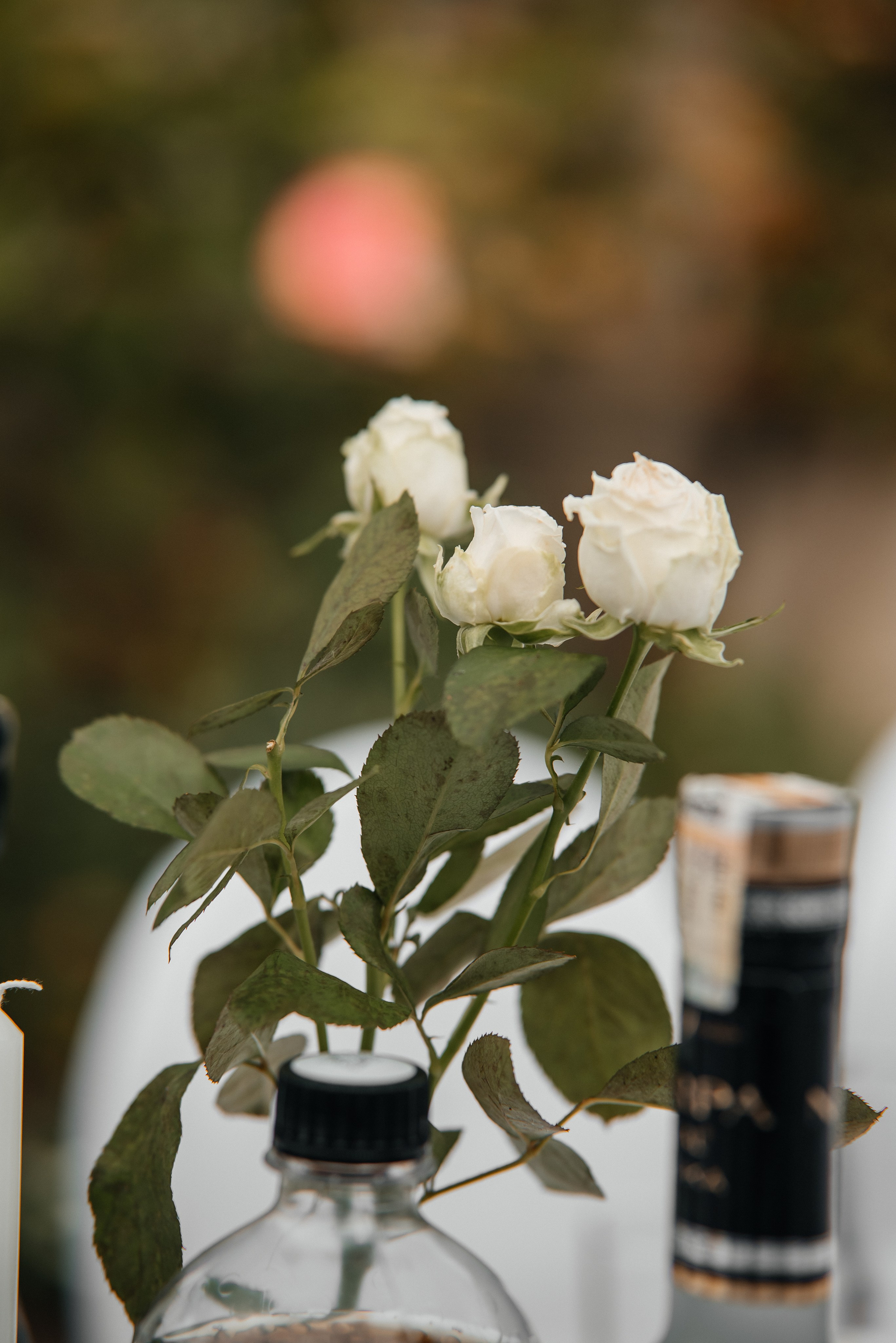 «Свадьба Даши и Артема». Школьный фотограф в Валуйках. Фотосессии для выпускников и изготовление выпускных альбомов в городе Валуйки и в Белгородской области