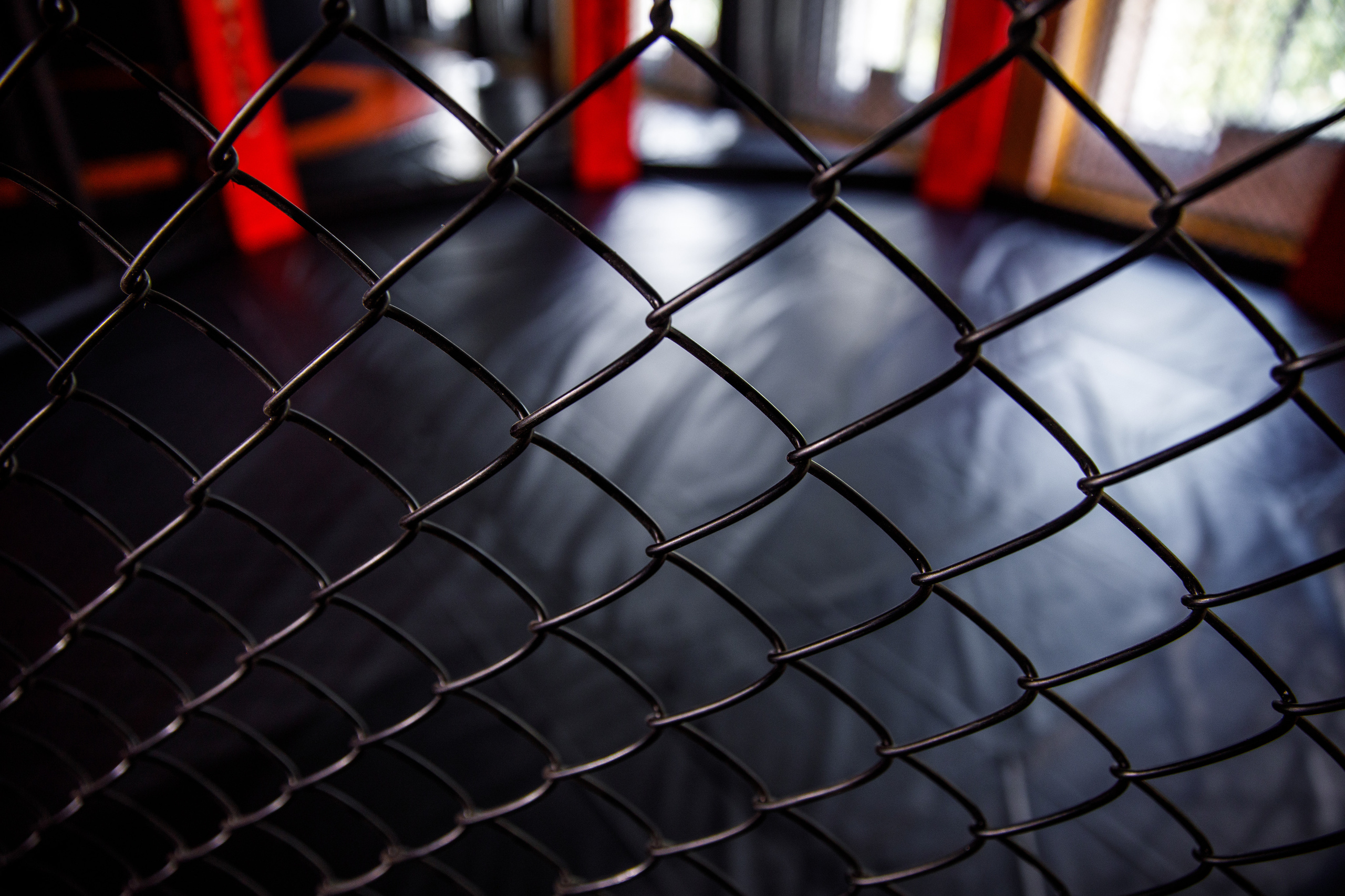 Студия единоборств «Шторм». Фотограф Антон Никандров