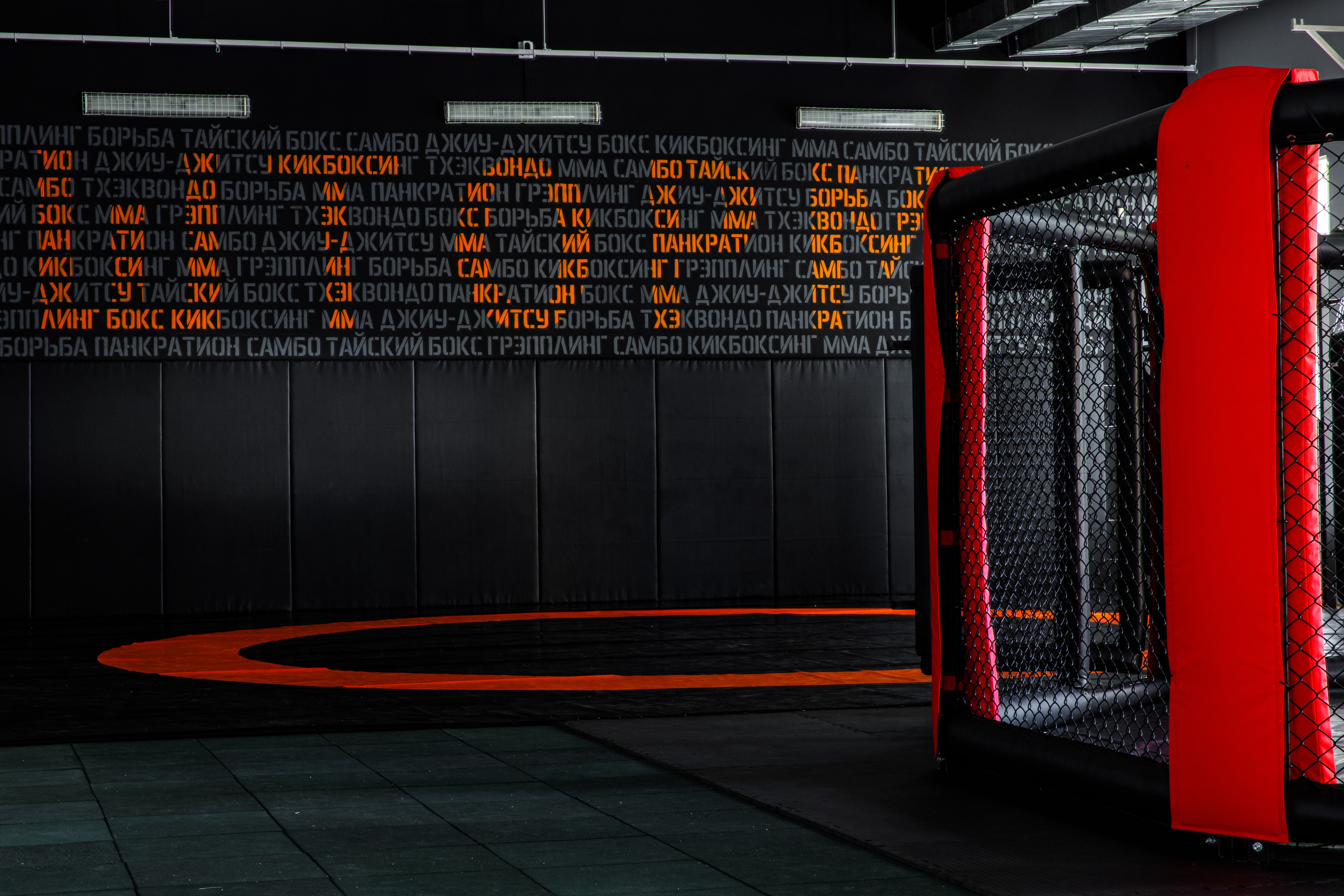 Студия единоборств «Шторм». Фотограф Антон Никандров