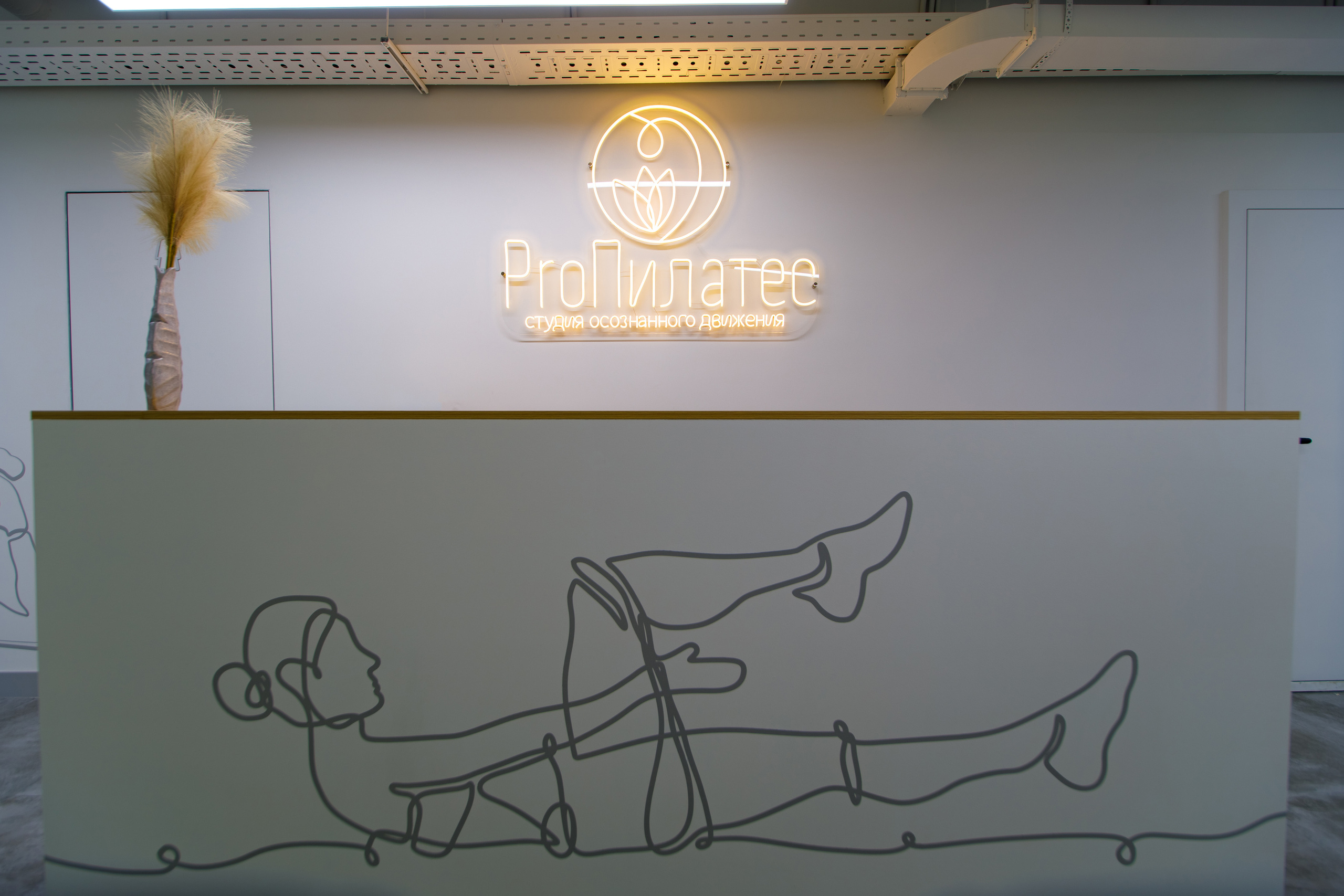 Студия «ProPilates». Фотограф Антон Никандров