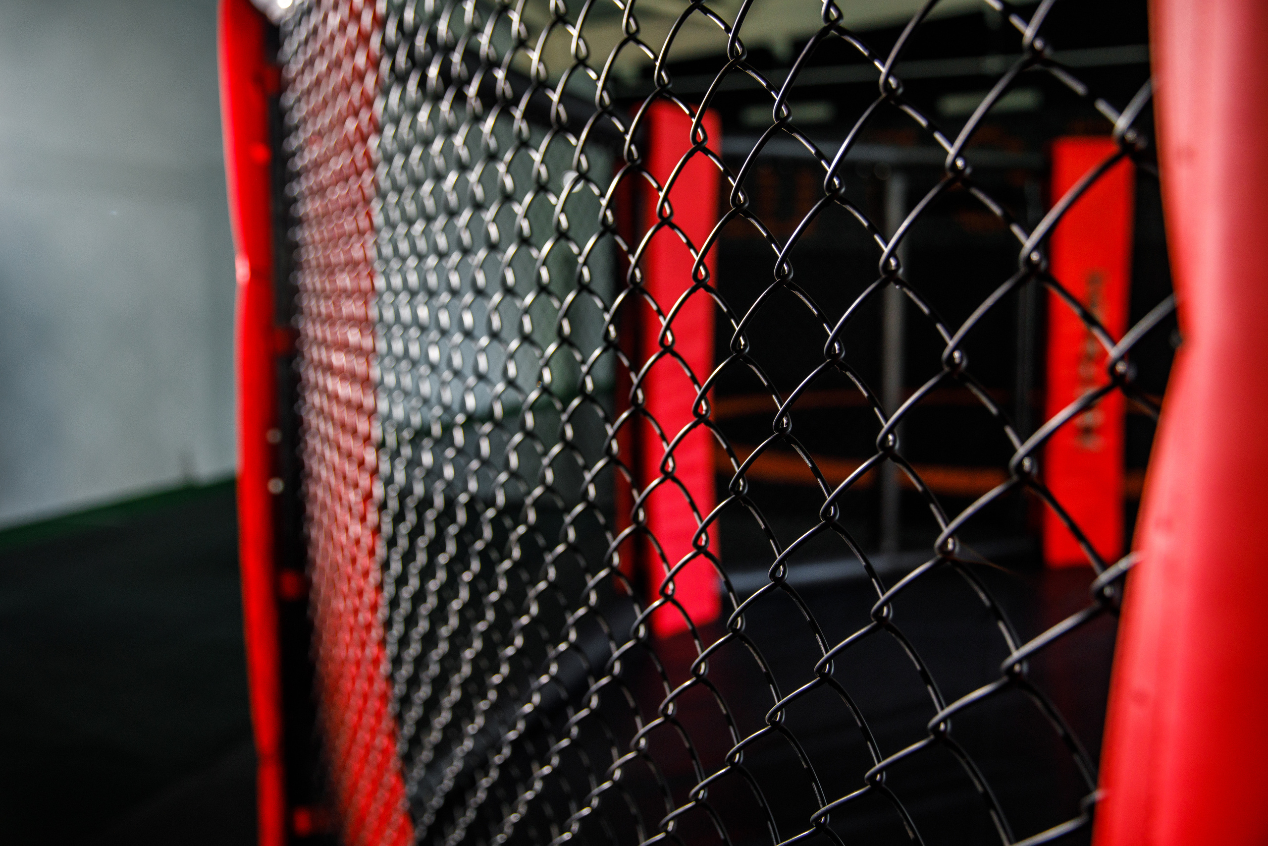 Студия единоборств «Шторм». Фотограф Антон Никандров