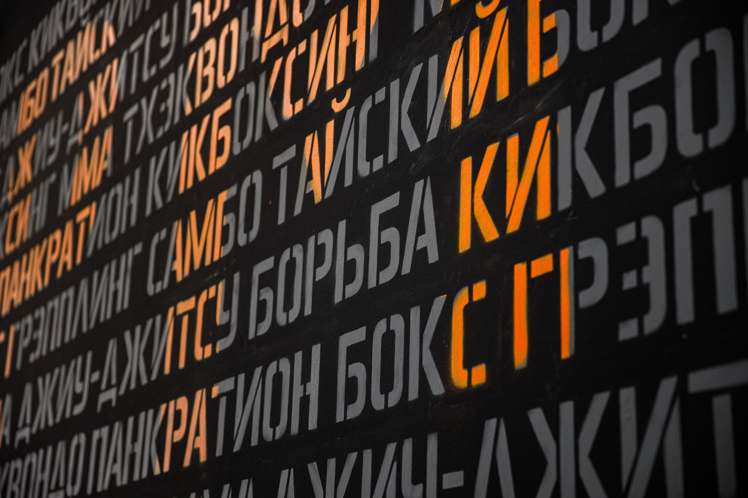 Студия единоборств «Шторм». Фотограф Антон Никандров