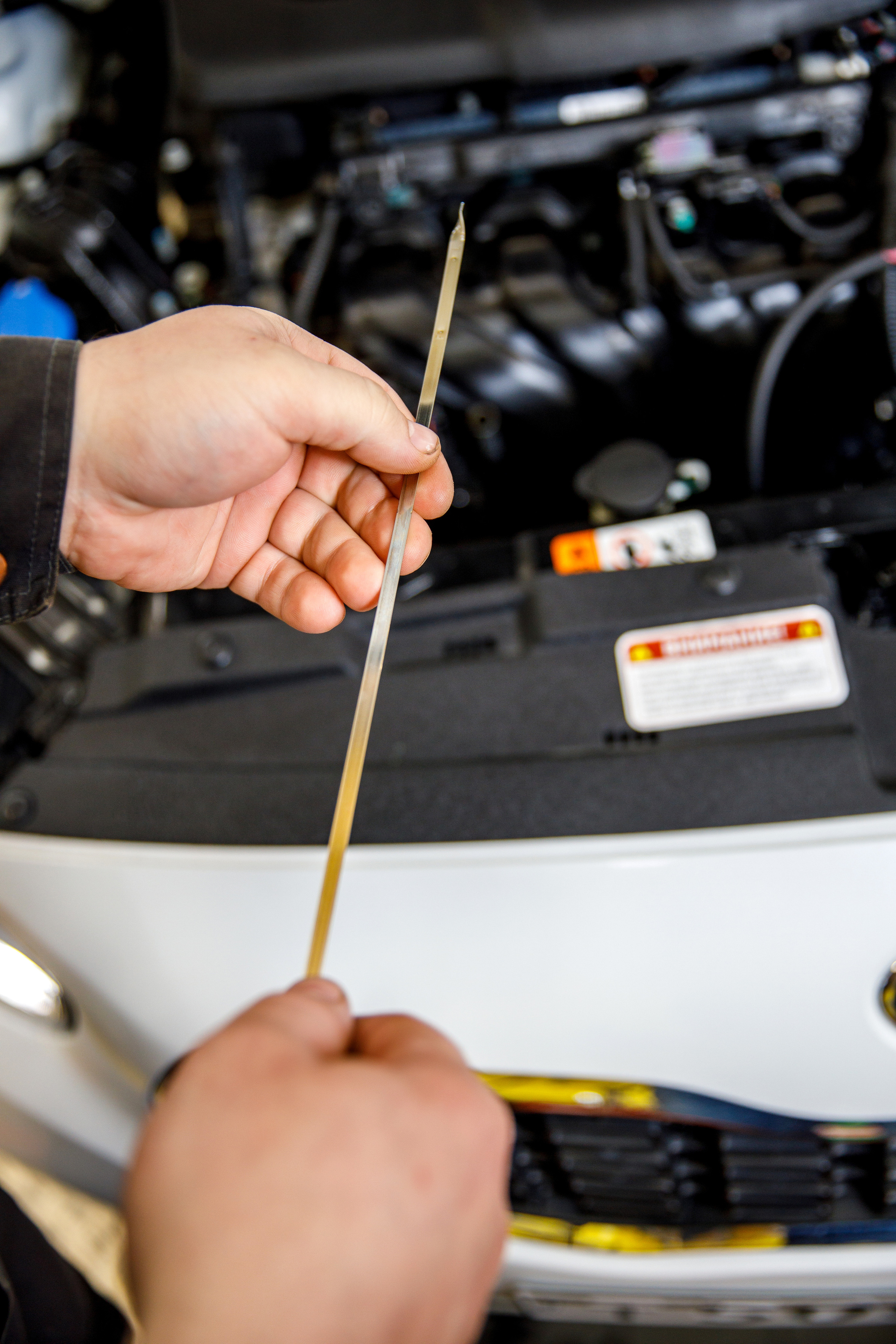 «Масломарт». Фотограф Антон Никандров