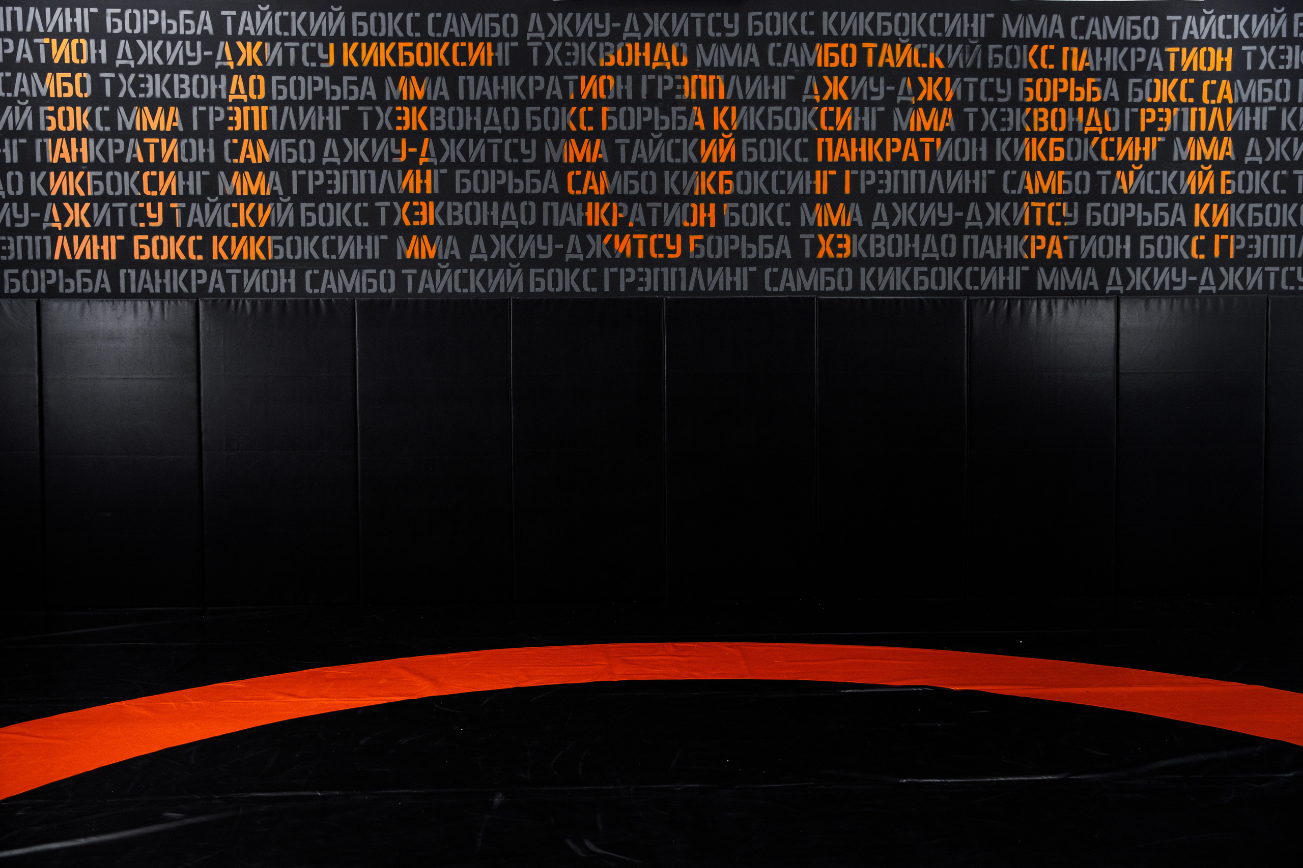 Студия единоборств «Шторм». Фотограф Антон Никандров