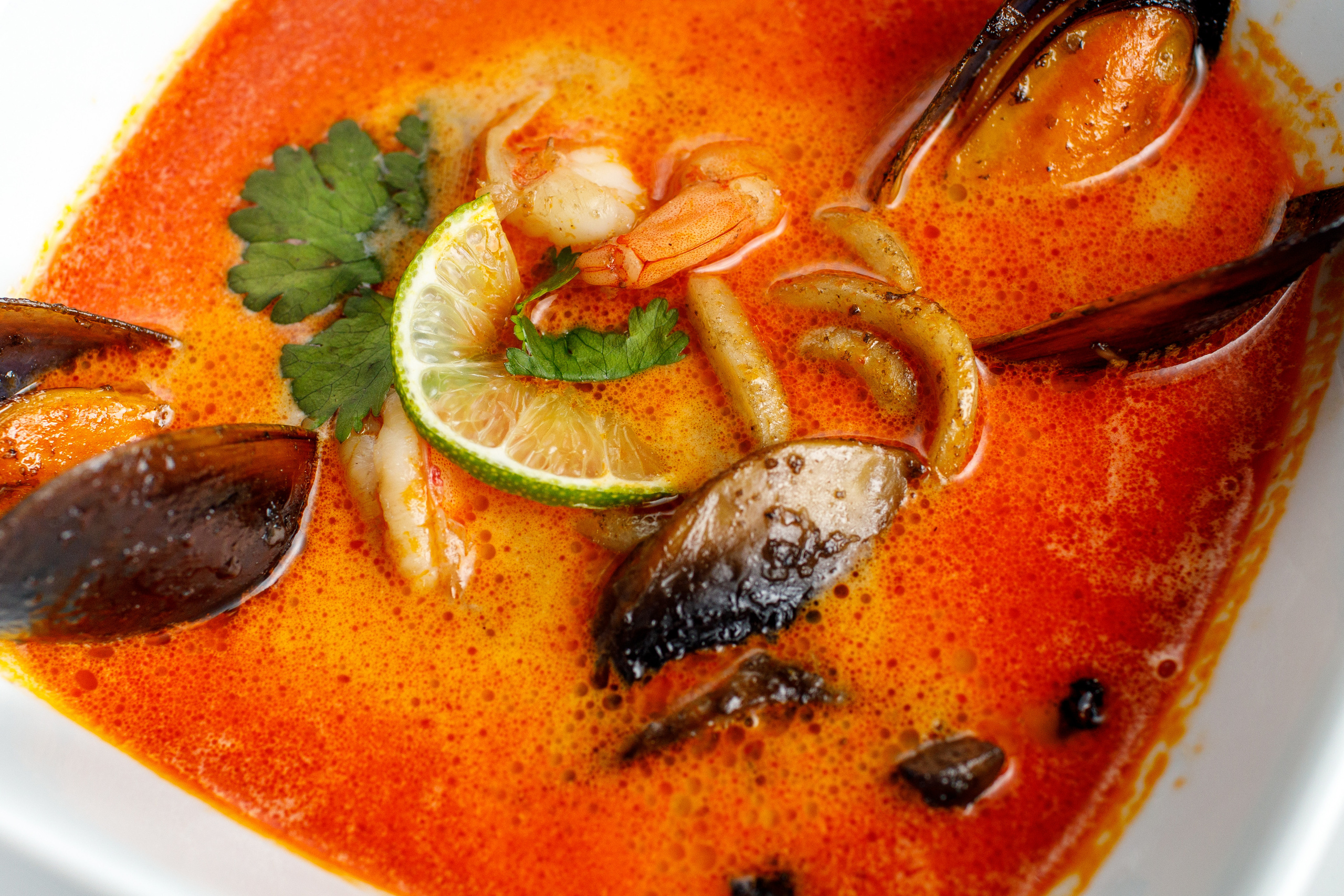 Меню для кафе. Фотограф Антон Никандров