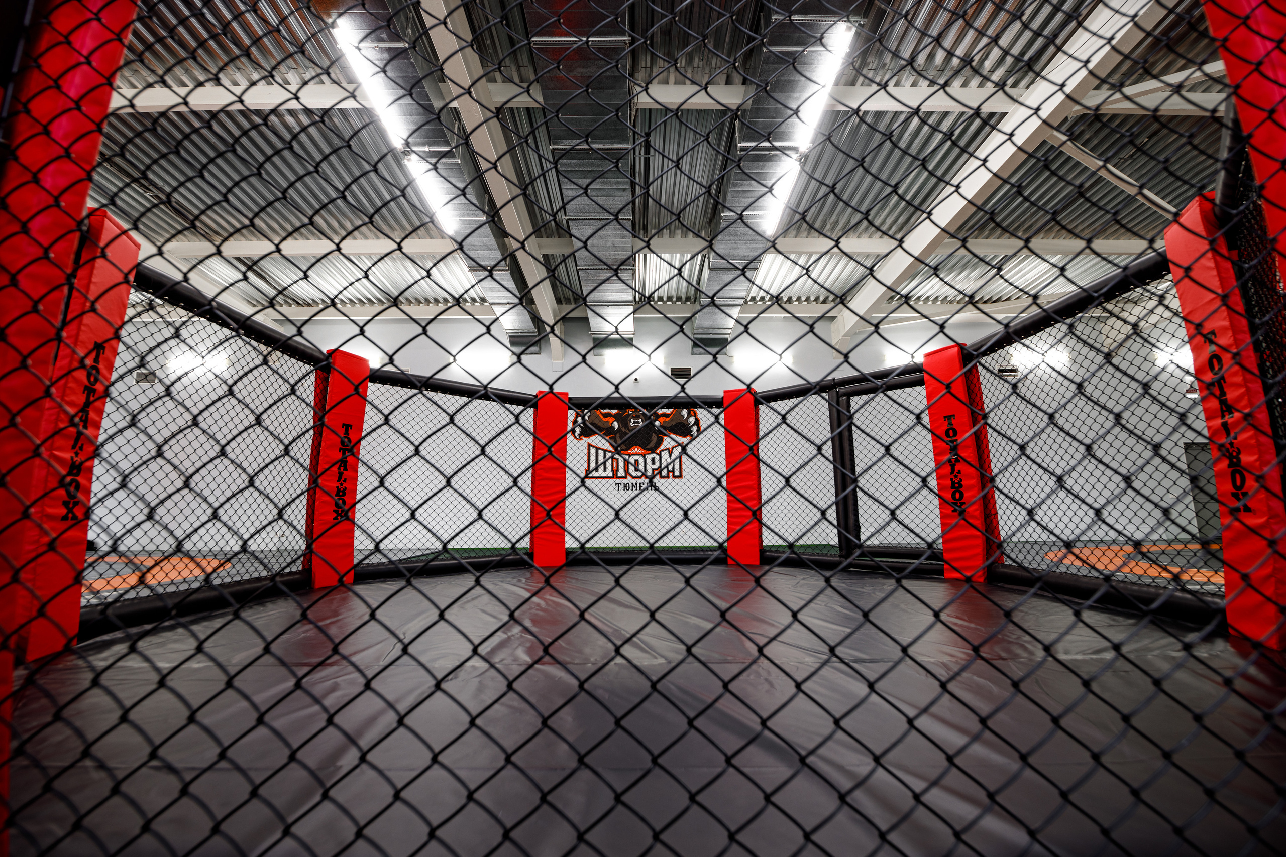 Студия единоборств «Шторм». Фотограф Антон Никандров