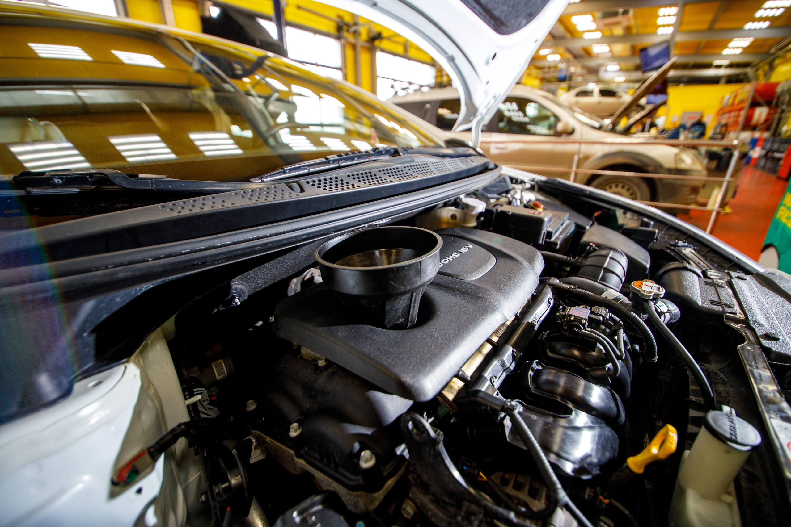 «Масломарт». Фотограф Антон Никандров