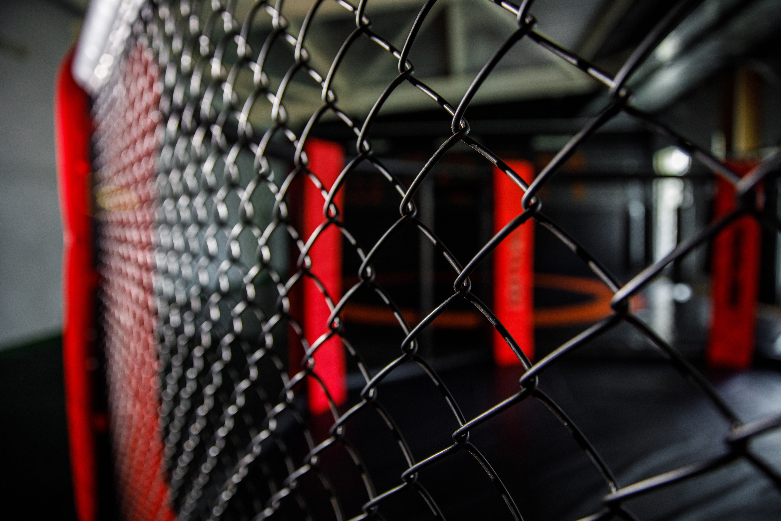 Студия единоборств «Шторм». Фотограф Антон Никандров