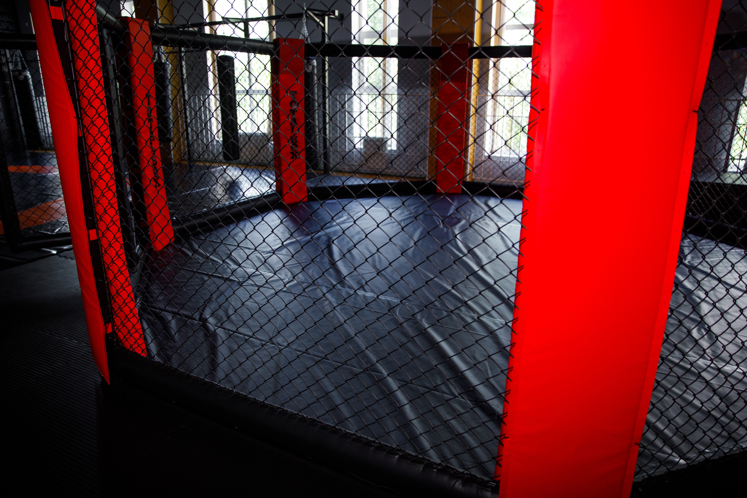 Студия единоборств «Шторм». Фотограф Антон Никандров