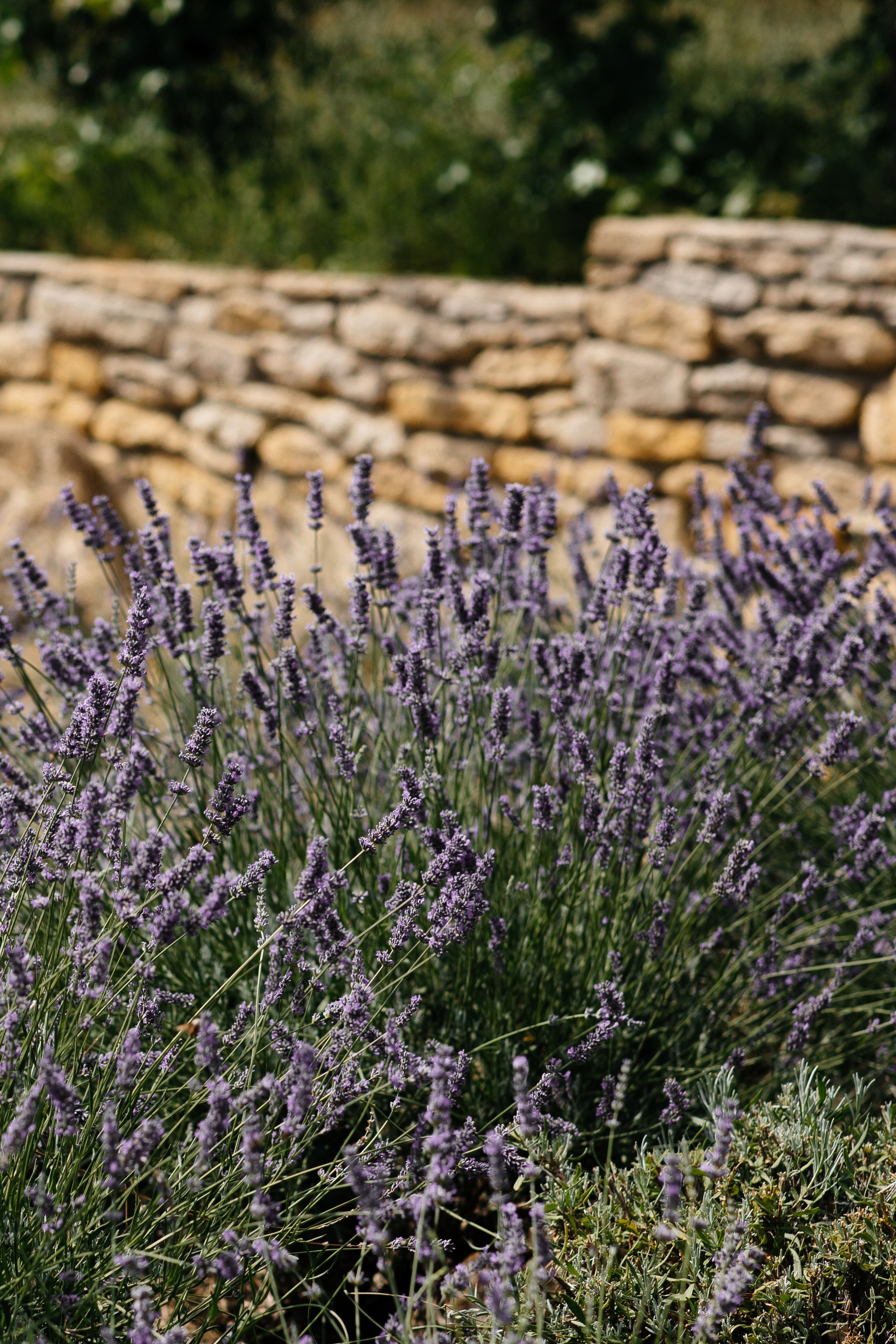 Атмосферная свадьба в Шато Андре. Архитектурный и интерьерный фотограф в Краснодаре | Дмитрий Демской