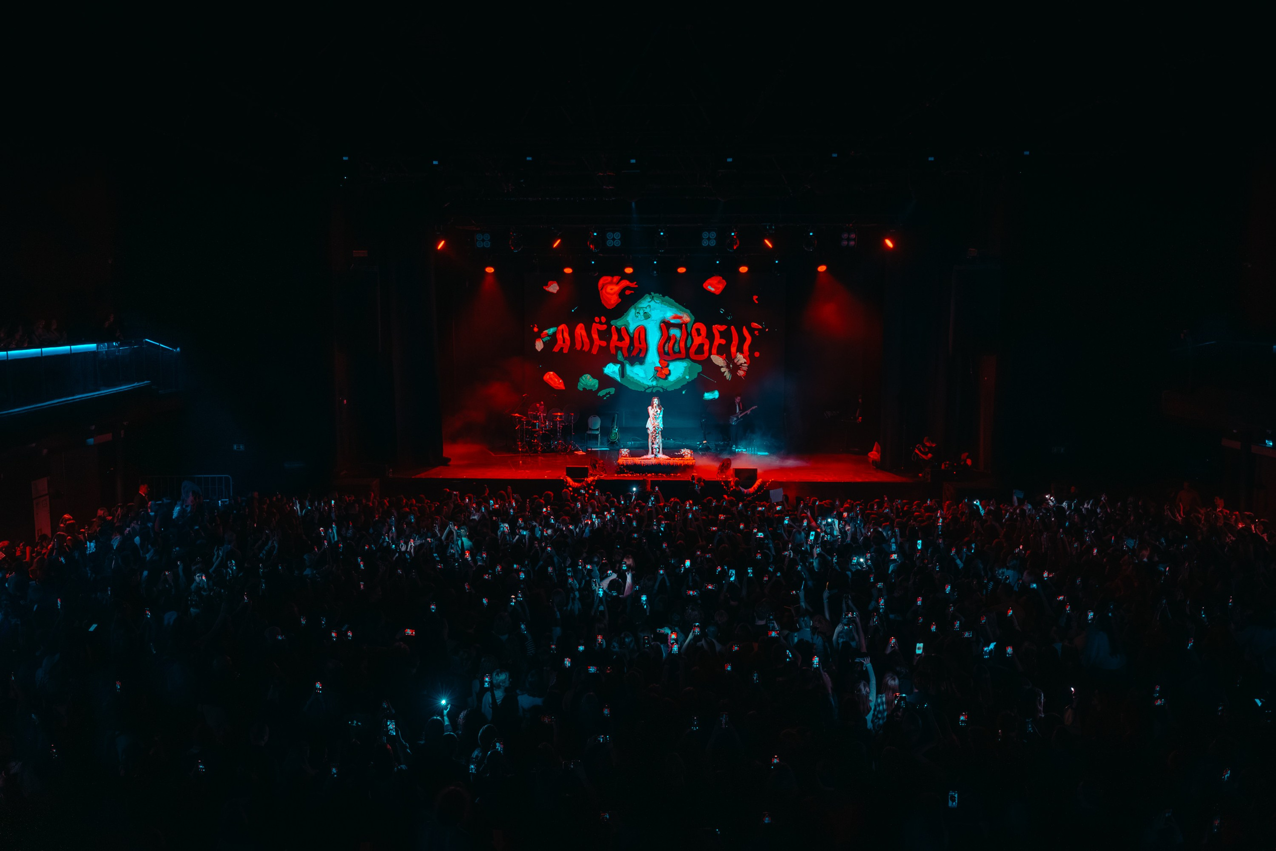 Алена Швец. Магия музыки в кадре: Концертная Фотография