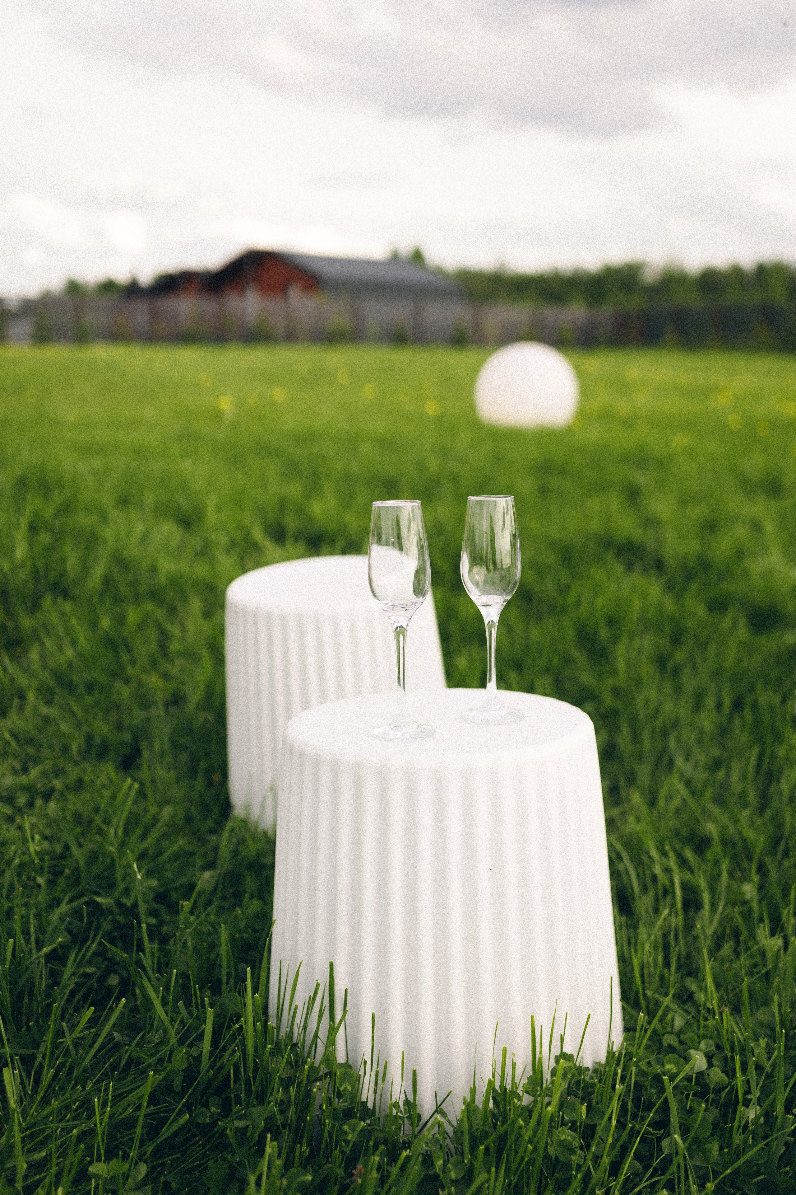 Vinity Forest. Фотограф Анастасия Платонова | Санкт-Петербург