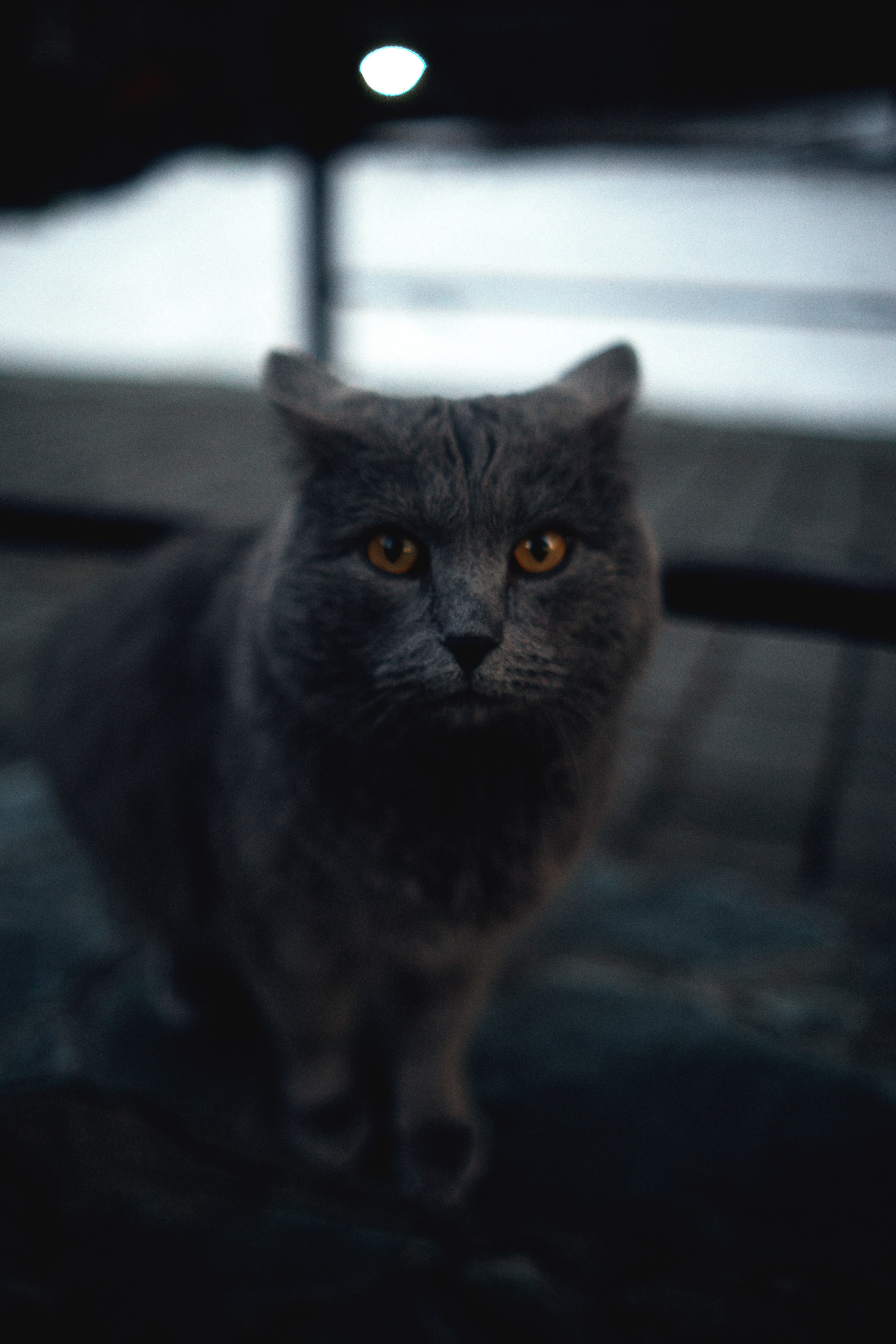 Поездка на Алтай (Личные фото). Фотограф в Новосибирске Владислав Унтерберг