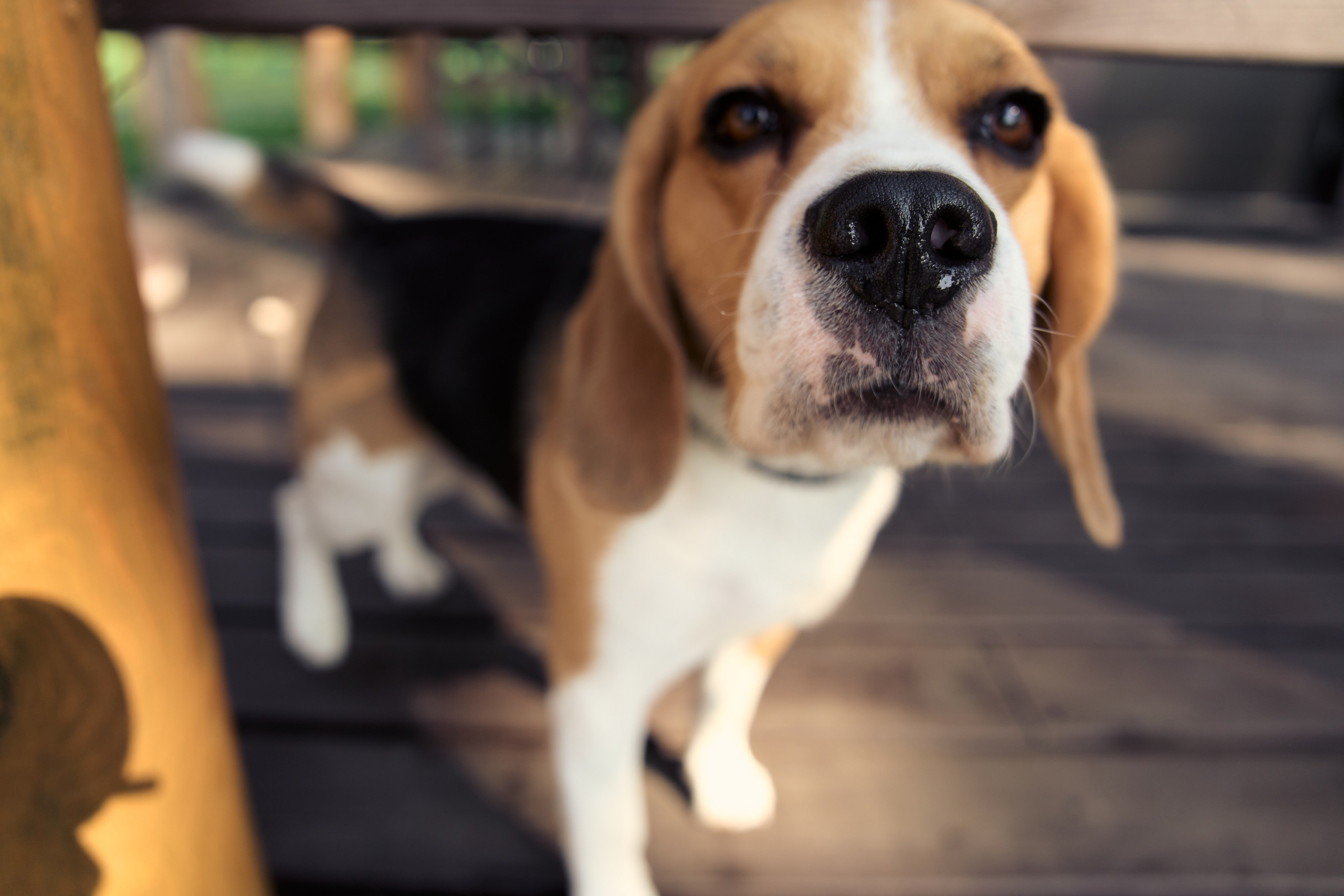 РЕmezzоВЫ. Фотограф Москва и Екатеринбург. Максимова Соня