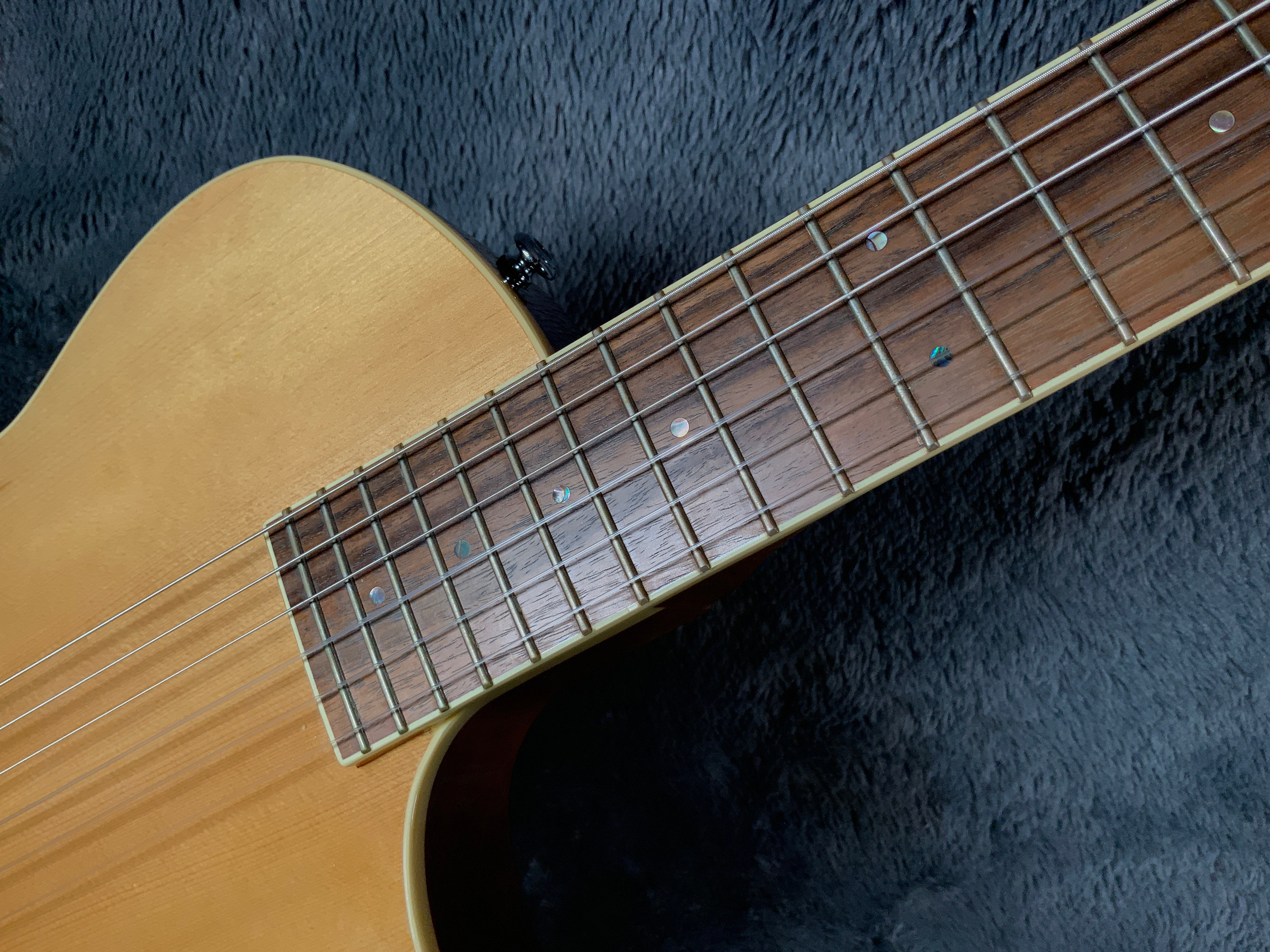 LTD by ESP TL-6N Nylon