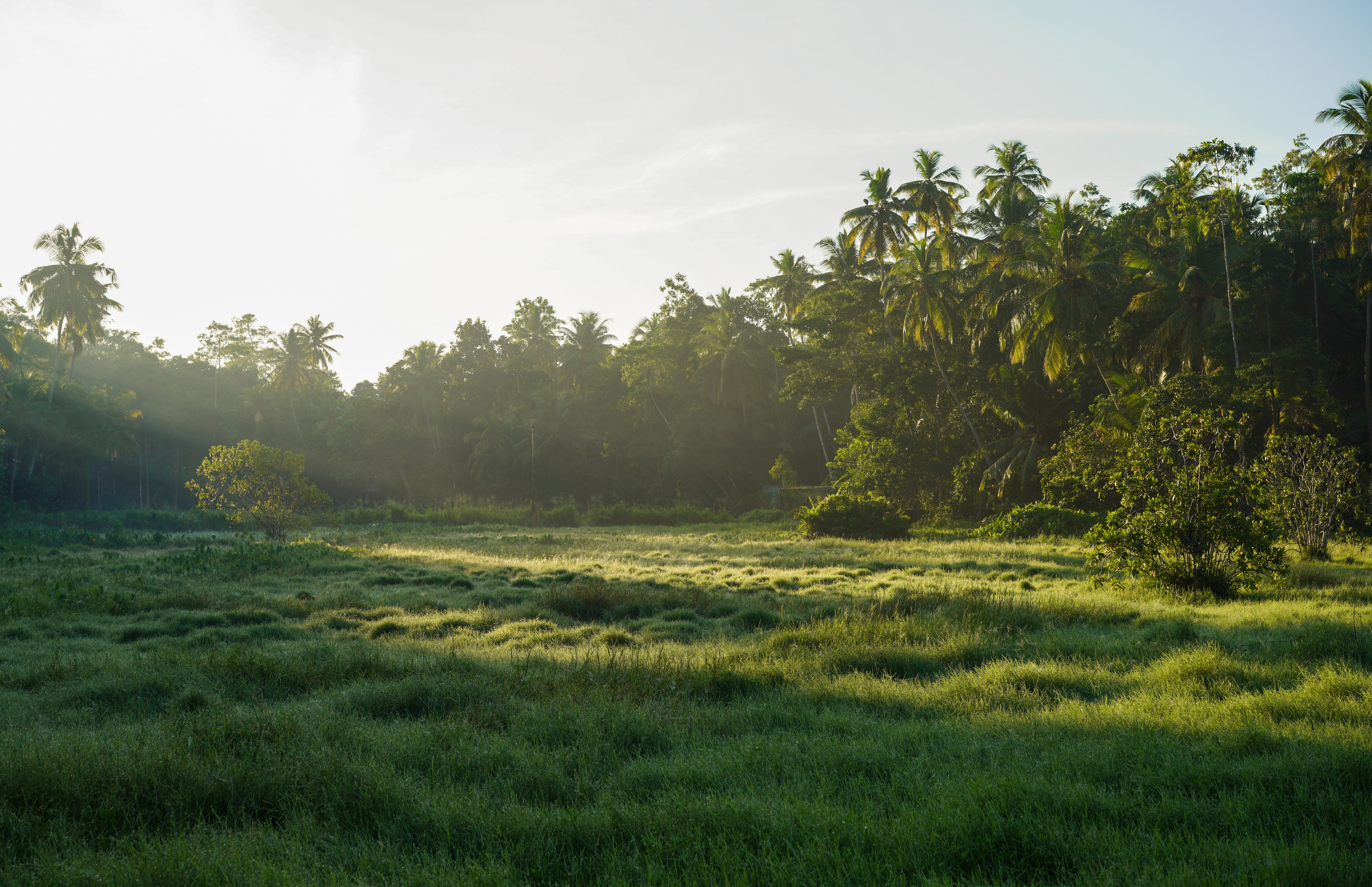 Остров Шри-Ланка. Фотограф Сергей Кишкель Дананг Нячанг Фукуок