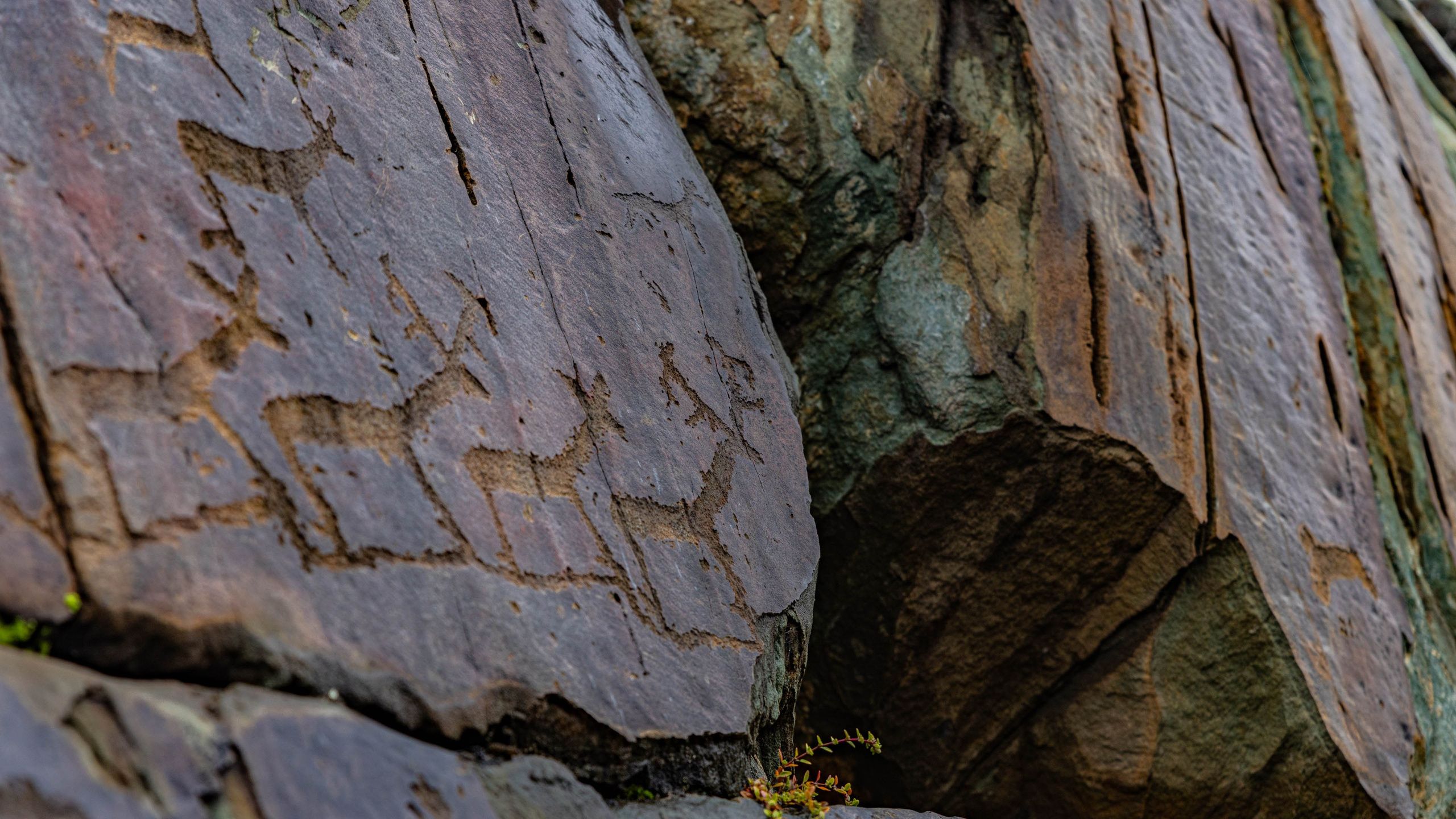 2025 09 Алтай. Чуйский тракт. Фотографии