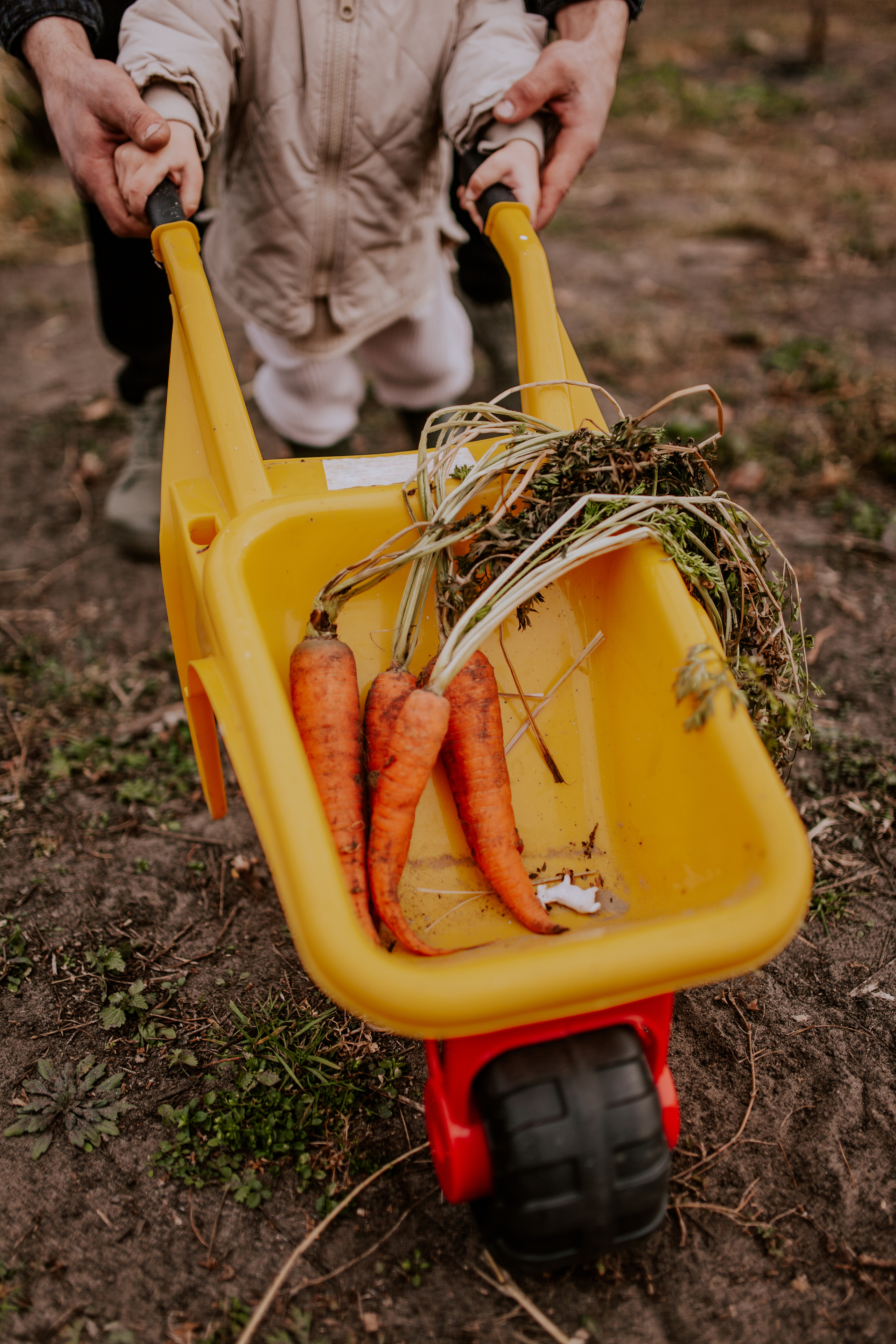 Семейная фотосессия в Тюмени. Фотограф Шелудкова Яна, город Тюмень
