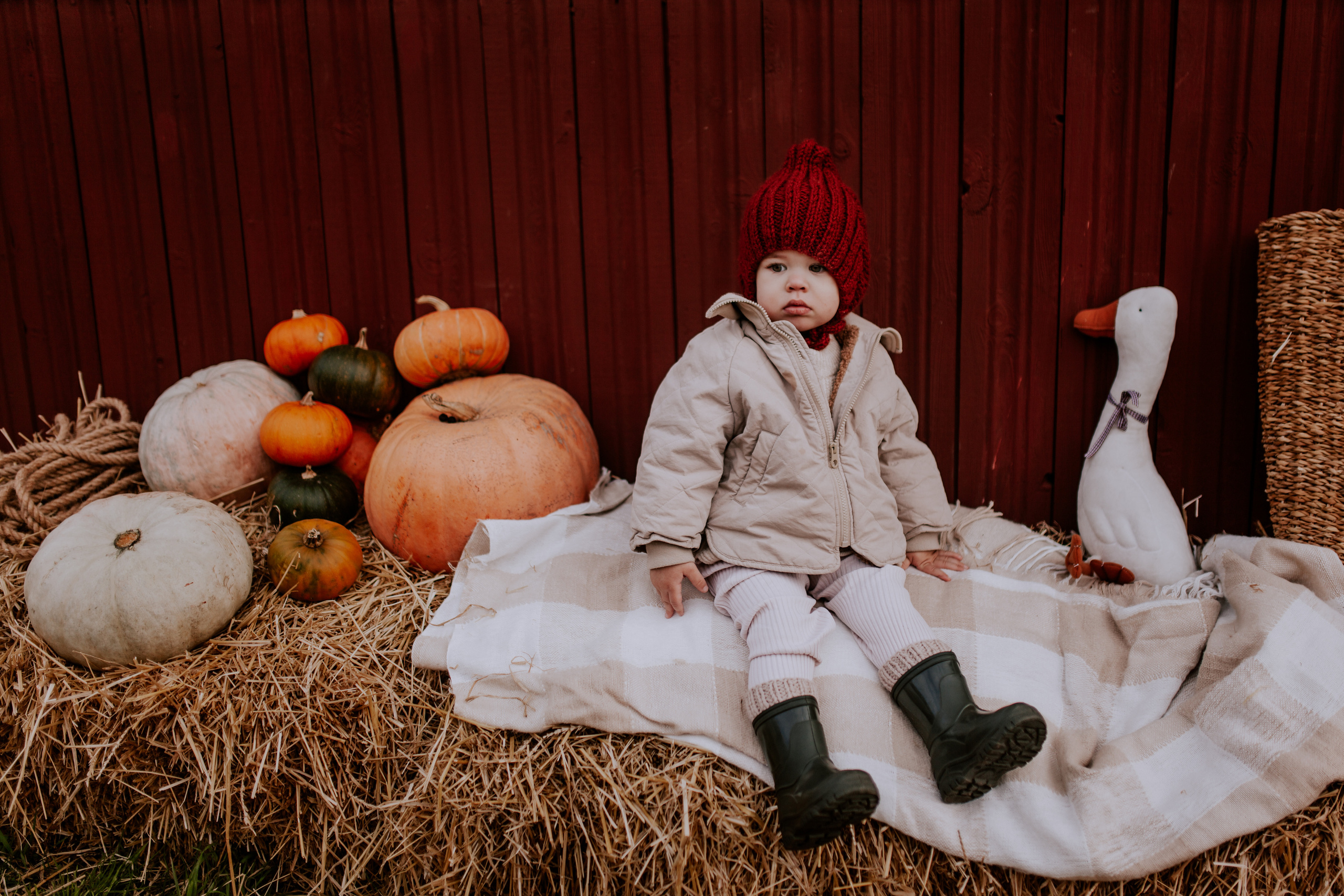 Семейная фотосессия в Тюмени. Фотограф Шелудкова Яна, город Тюмень